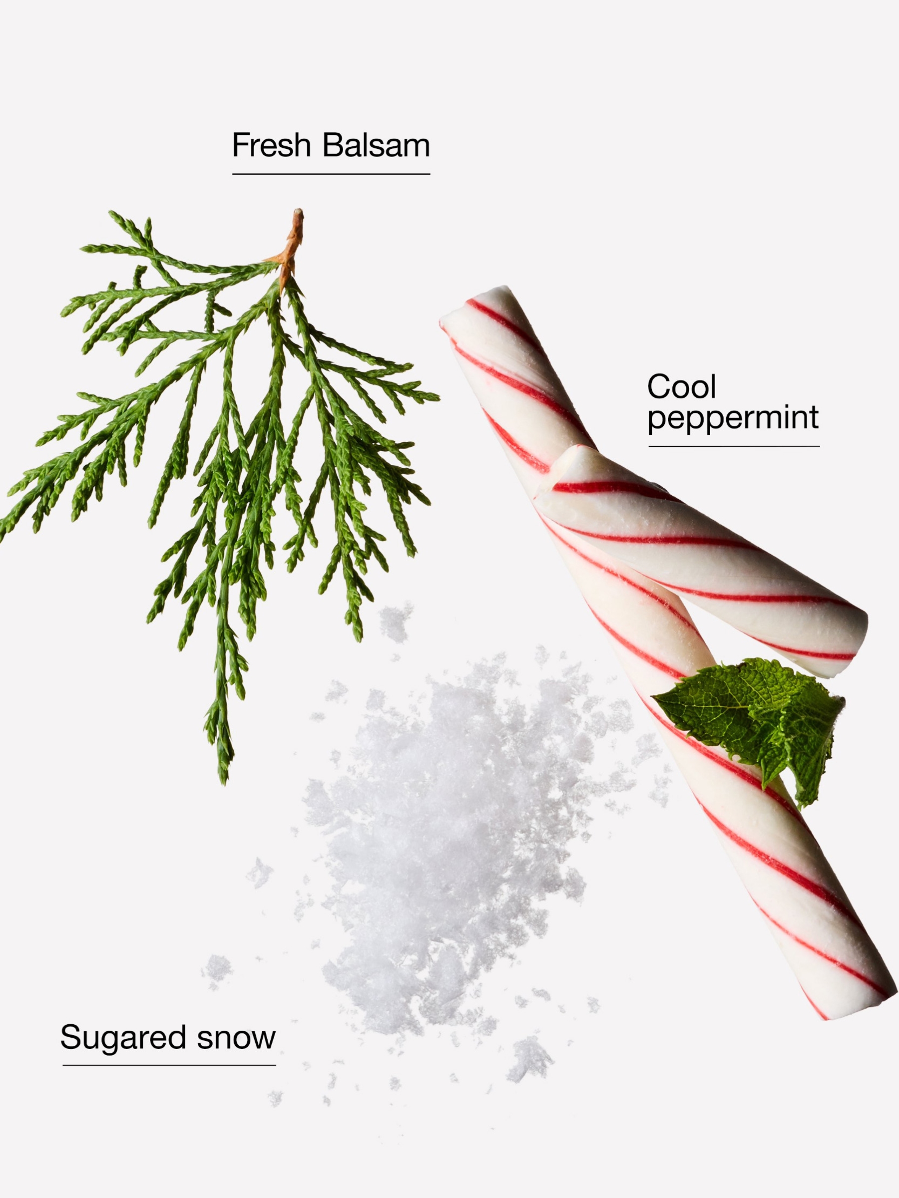 Twisted Peppermint Fine Fragrance Mist 236ml - Image 2 of 2