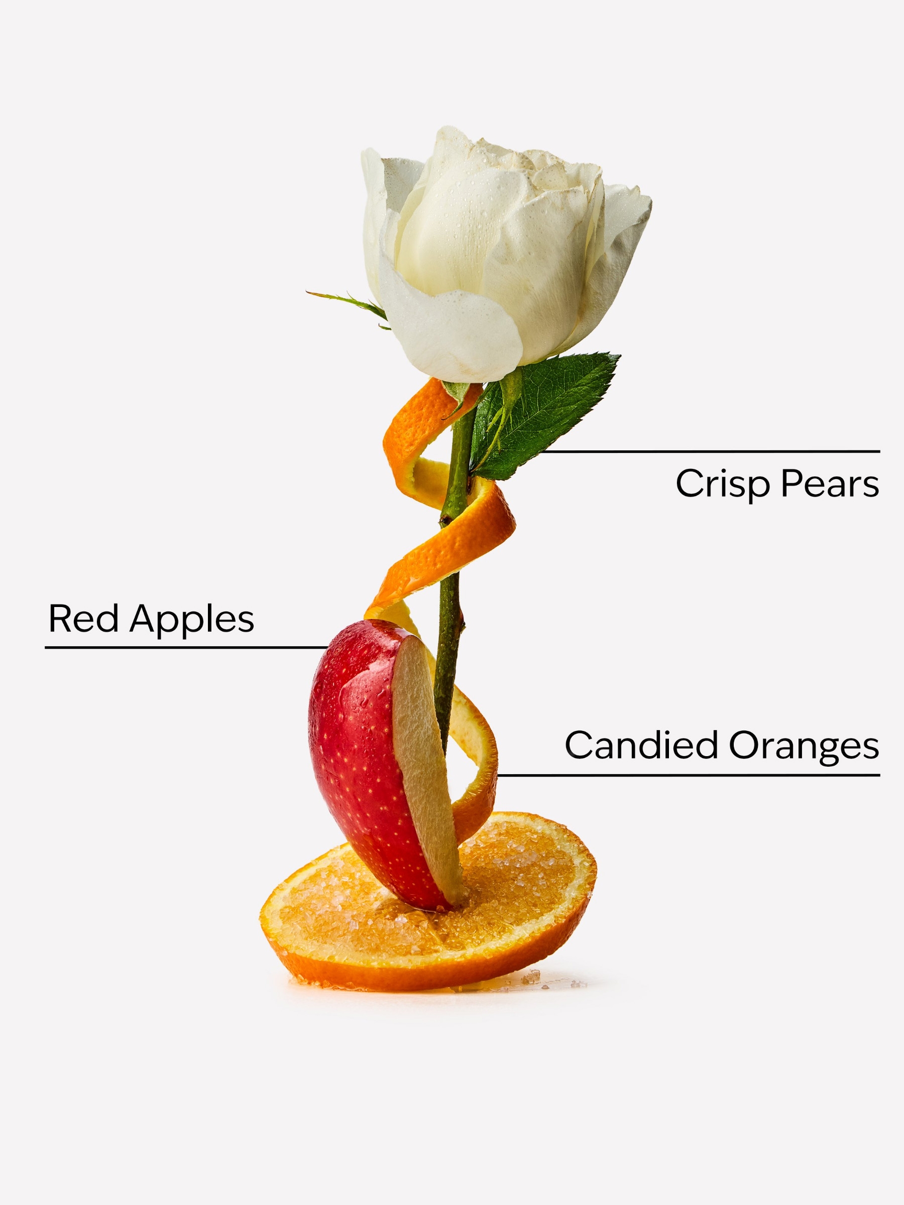 Winter Candy Apple Moisturizing Body Wash 295ml - Image 2 of 2