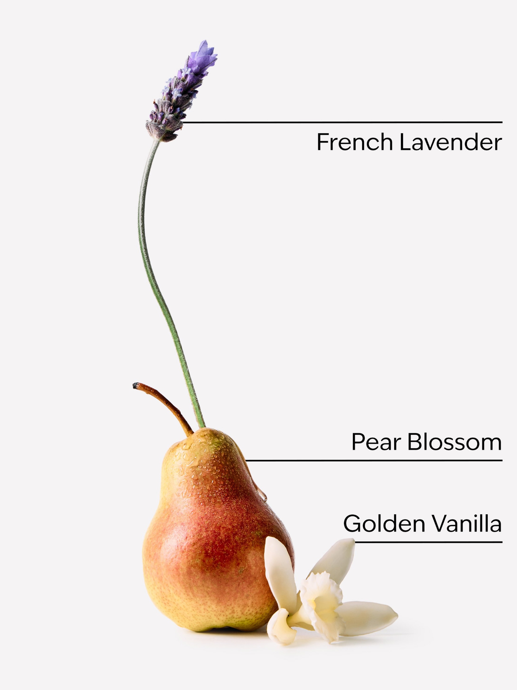 Moonlit Goddess Fine Fragrance Mist 236ml - Image 2 of 2