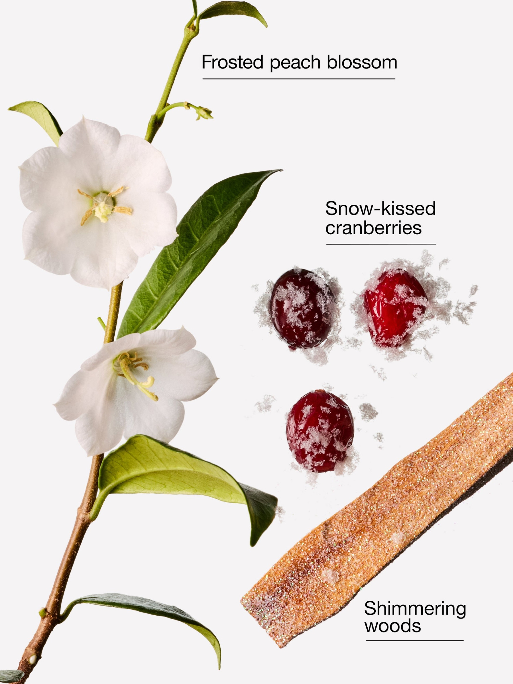 Snowy Peach Berry Travel Size Fine Fragrance Mist 75ml - Image 2 of 2