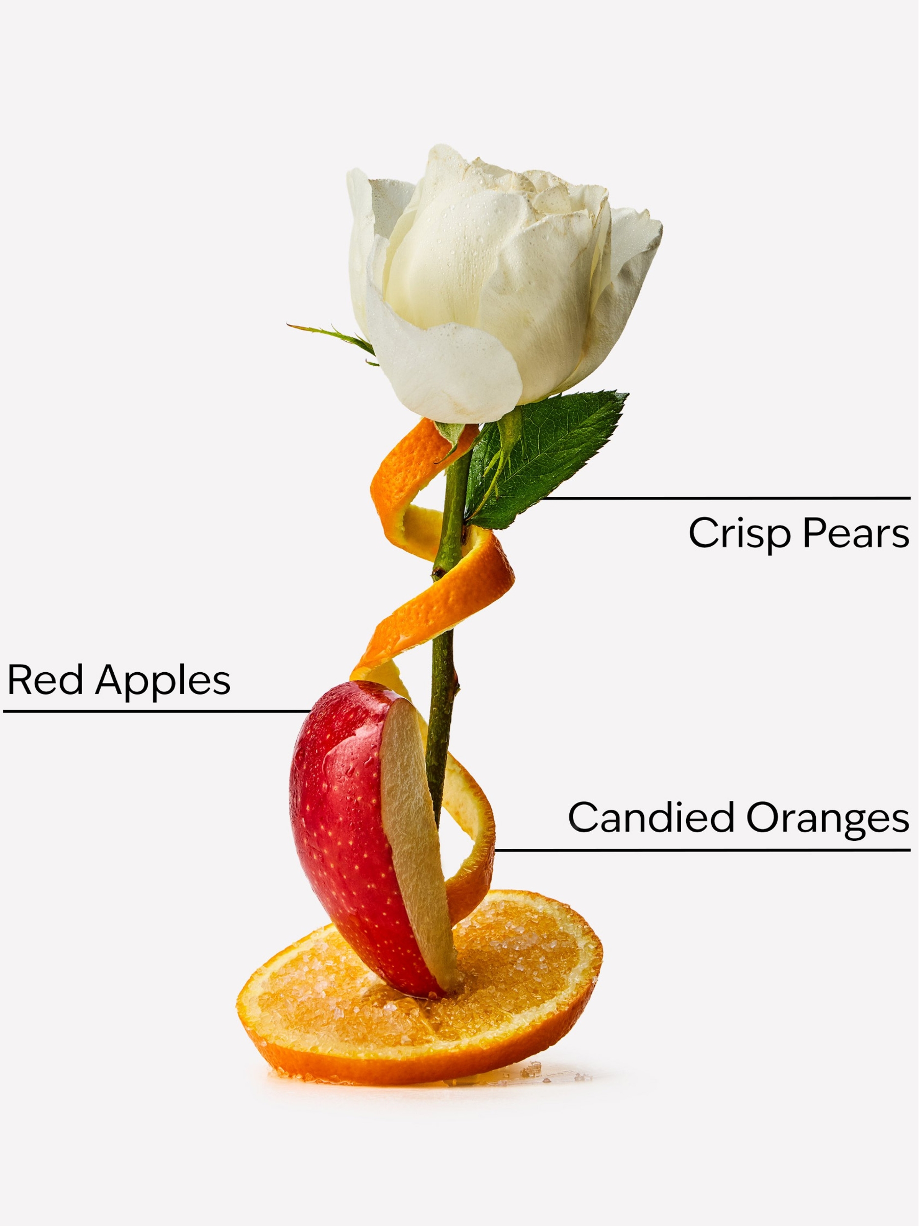 Winter Candy Apple Conditioner 473ml - Image 2 of 2