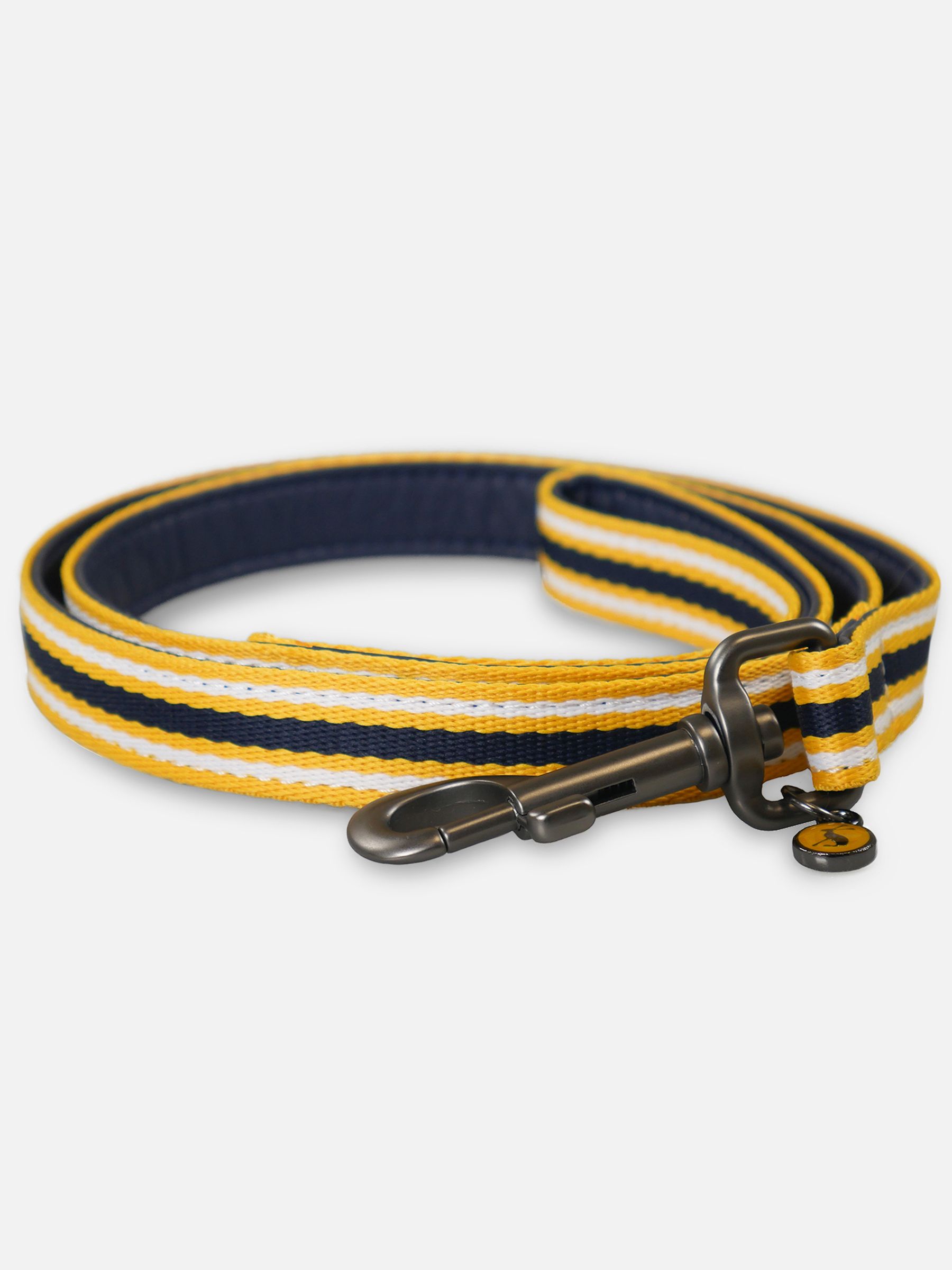 Multi Coastal Stripe Dog Lead - Image 1 of 3