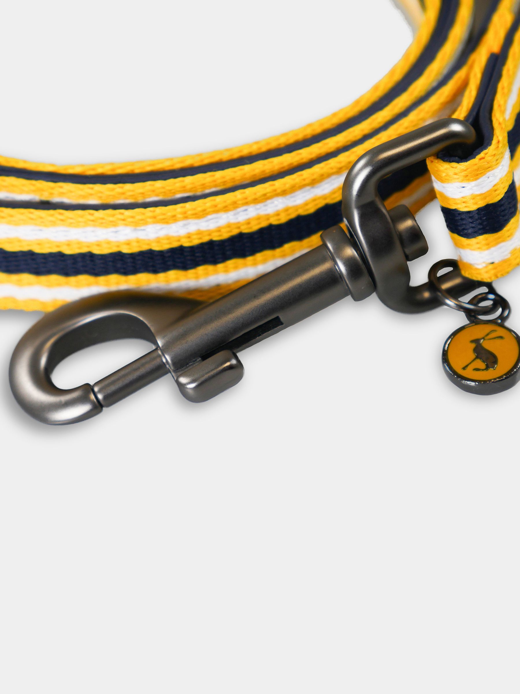 Multi Coastal Stripe Dog Lead - Image 2 of 3