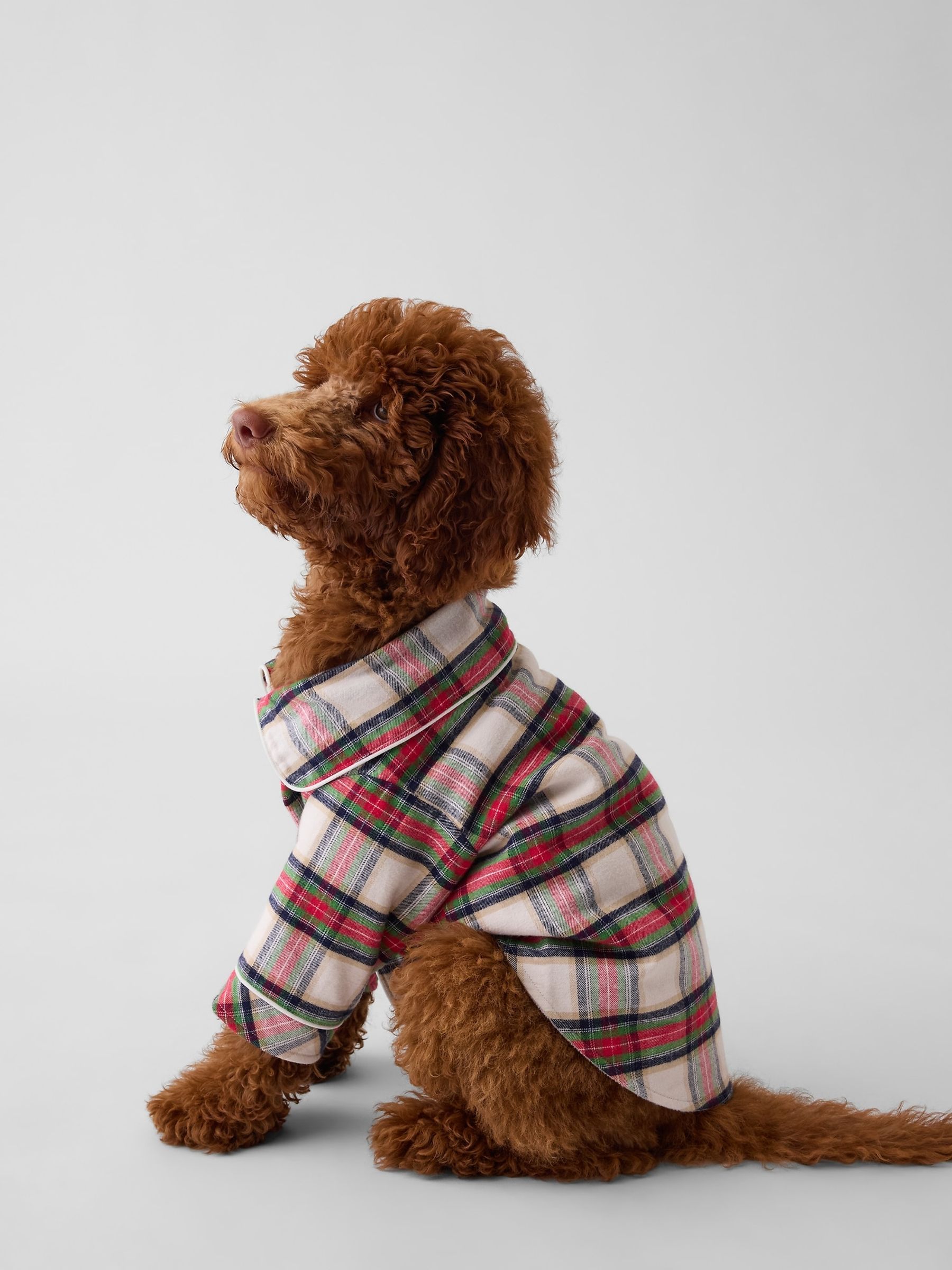 Red & Cream Check Pet Softest Flannel Pyjamas One-Piece - Image 1 of 1