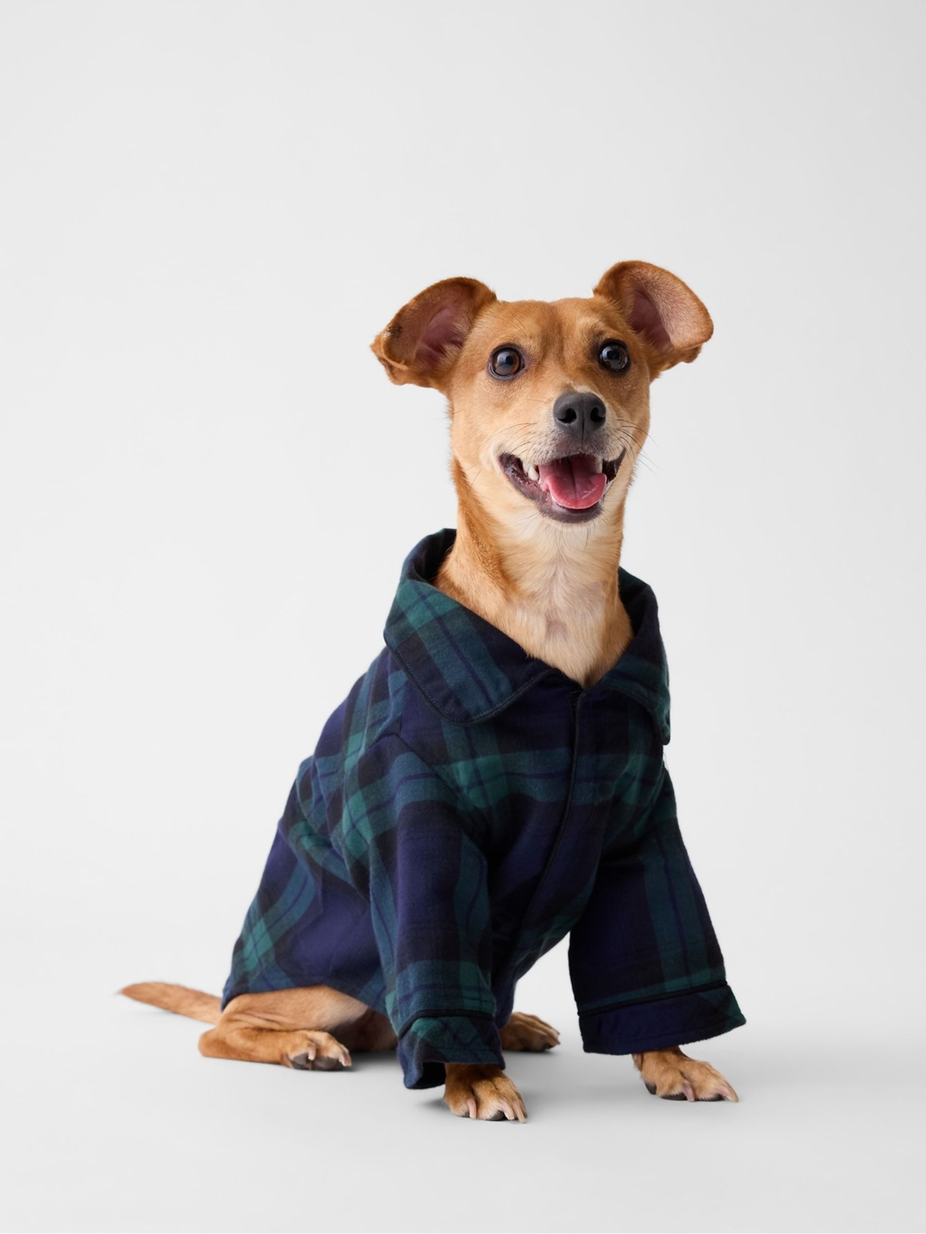 Green & Navy Check Pet Softest Flannel Pyjamas One-Piece - Image 1 of 2