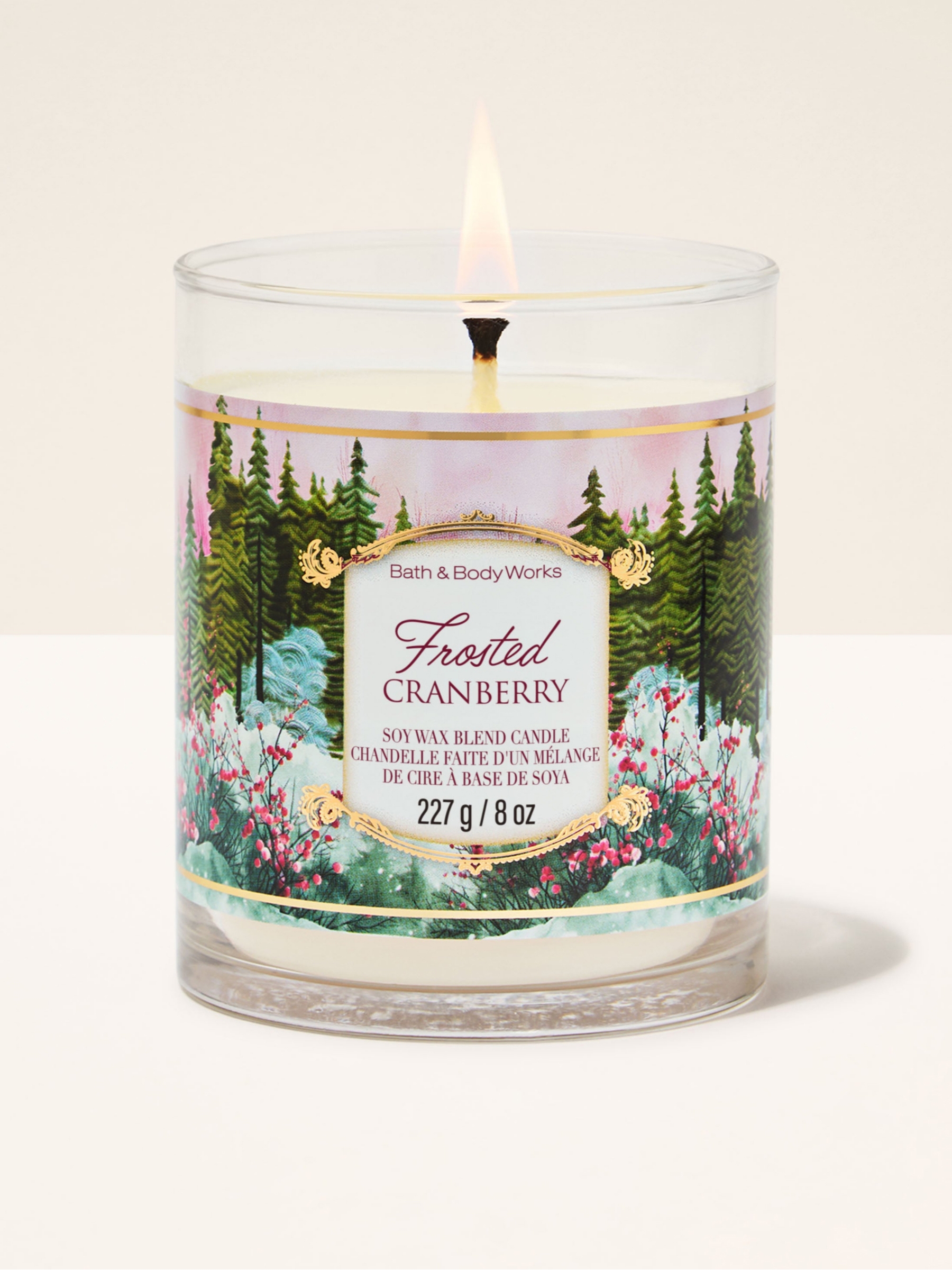 Frosted Cranberry Single Wick Candle 227g - Image 1 of 2