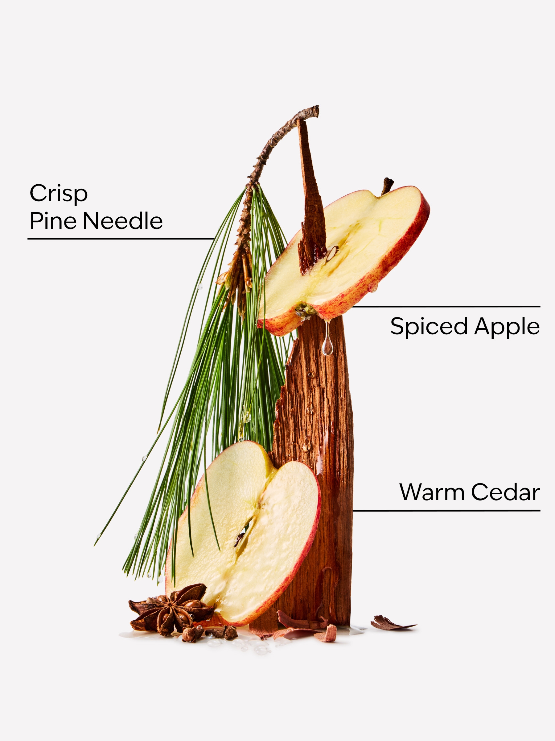 Tree Farm 3-Wick Candle 411g - Image 2 of 2 Tree Farm 3-Wick Candle 411g - Image 2 of 2
