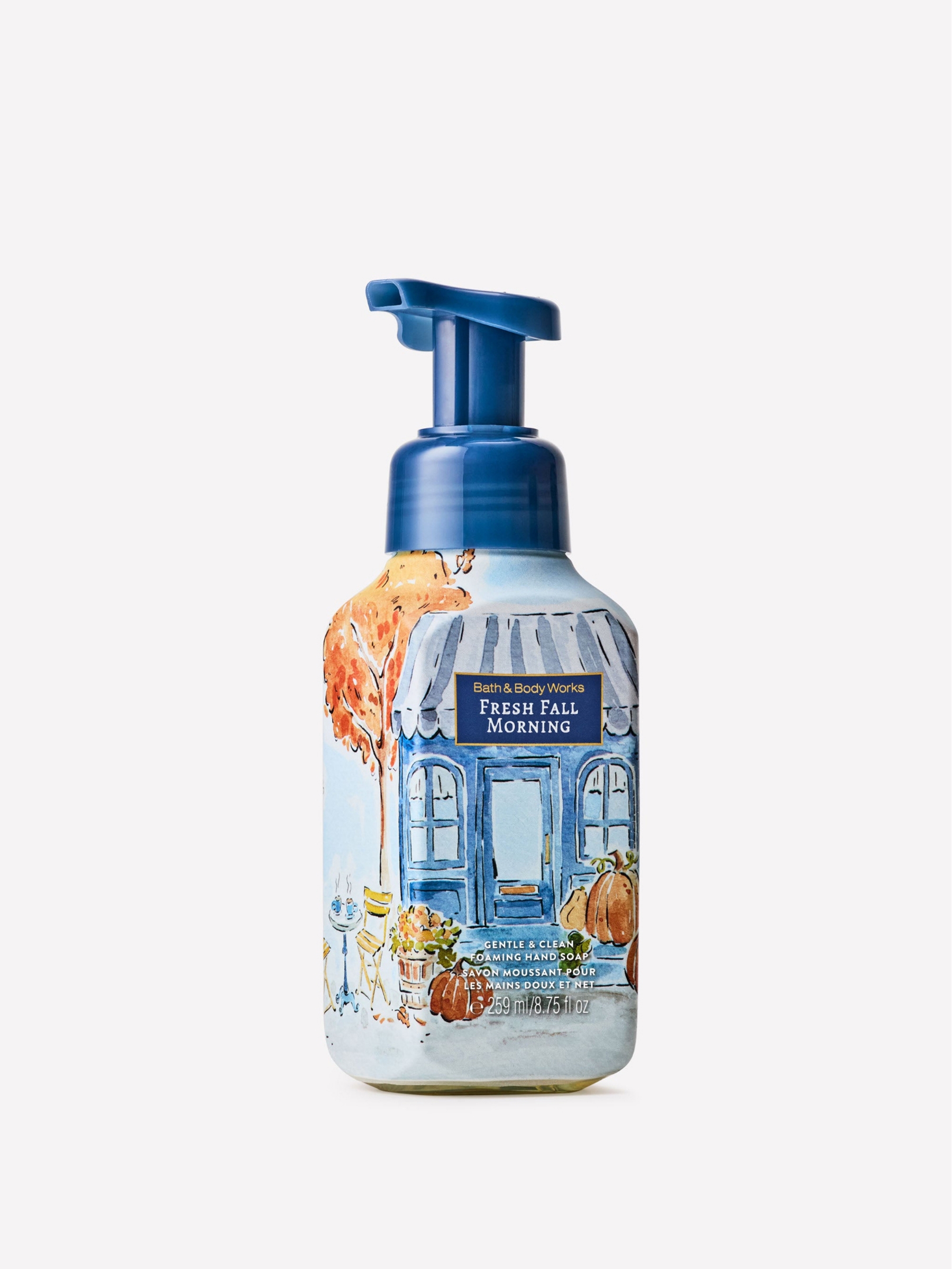 Fresh Fall Morning Gentle & Clean Foaming Hand Soap 259ml - Image 1 of 5