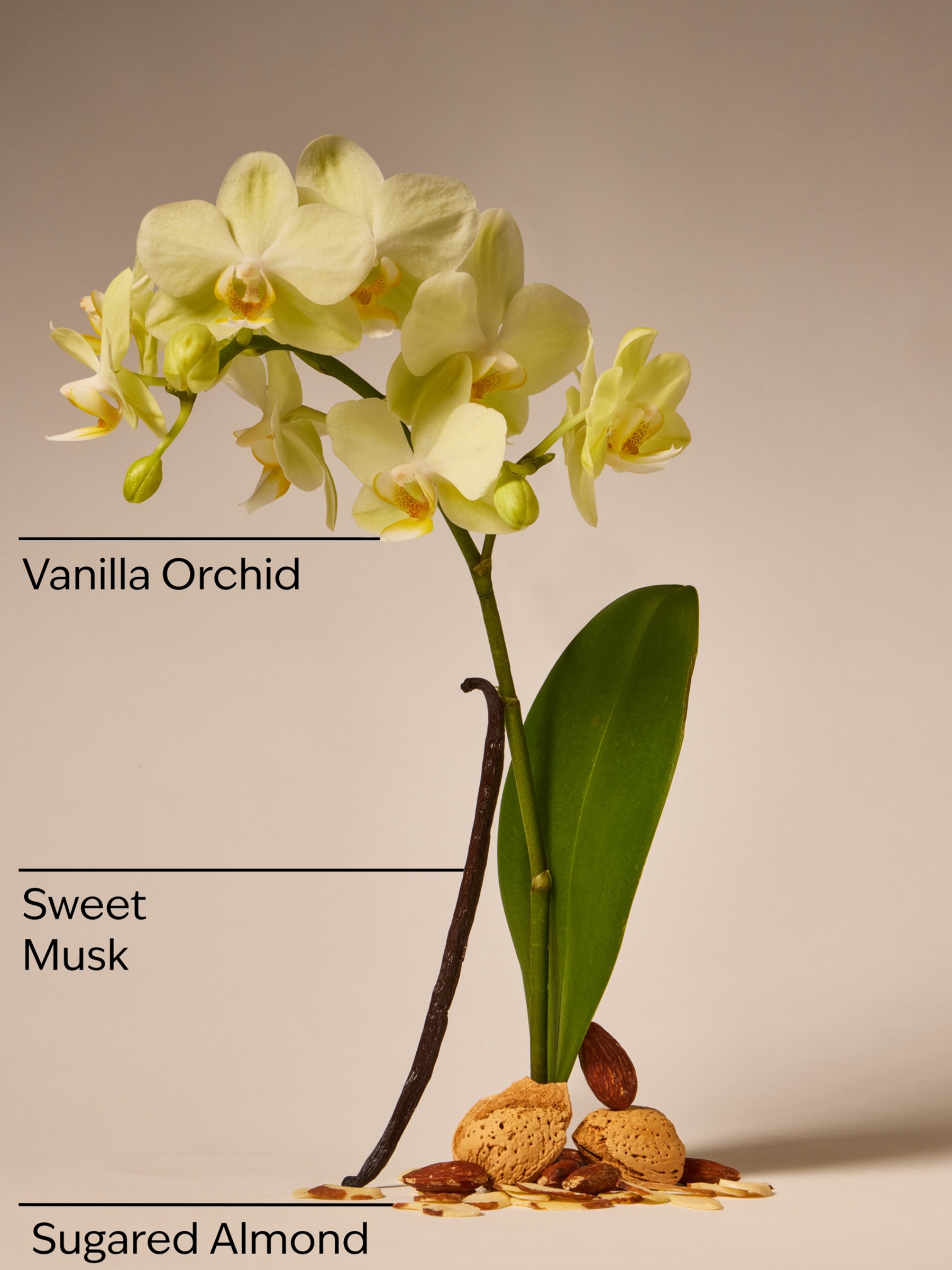 Cosy Vanilla Almond Pocketbac Trio Hand Sanitiser - Image 2 of 2