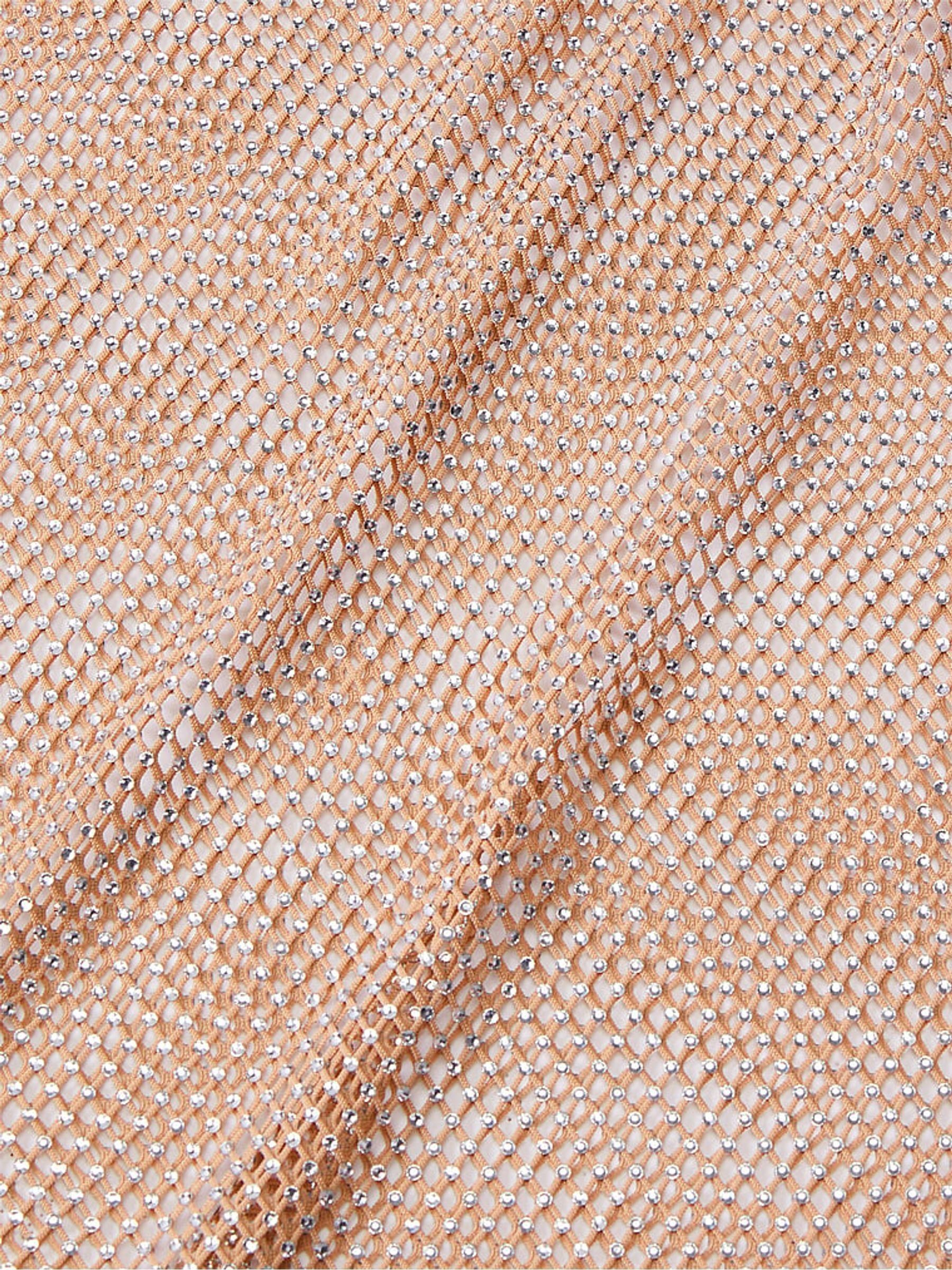 Praline Nude Shine Mesh Long Slip Dress - Image 4 of 4