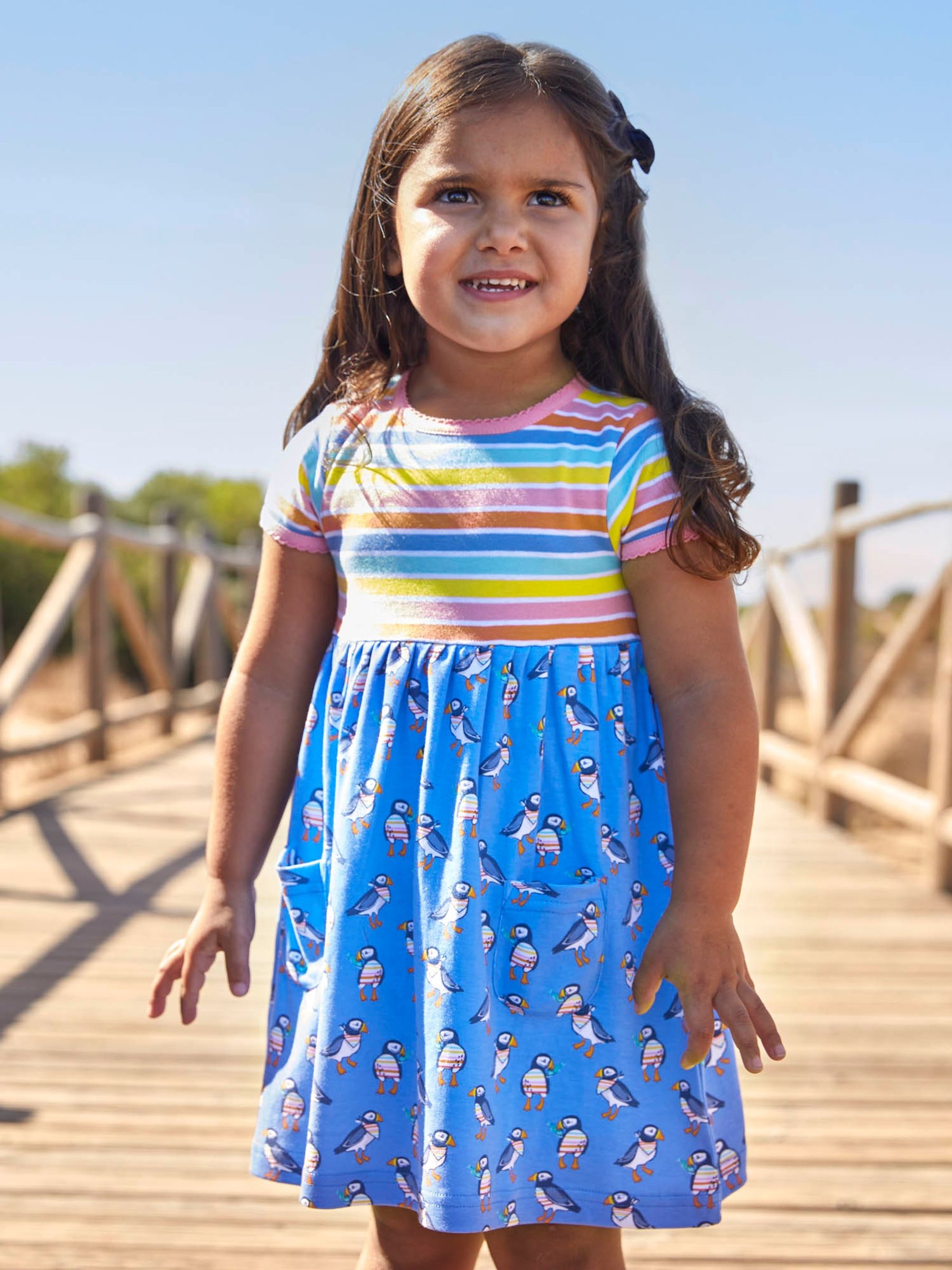 Rainbow Multi Coloured Stripe & Puffin Print With Pet In Pocket Combo Dress - Image 1 of 5