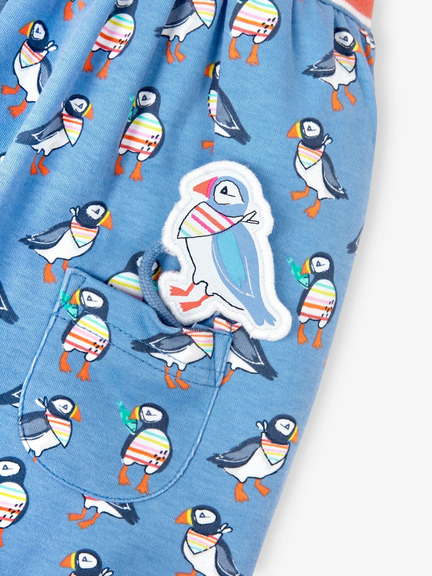 Rainbow Multi Coloured Stripe & Puffin Print With Pet In Pocket Combo Dress - Image 5 of 5