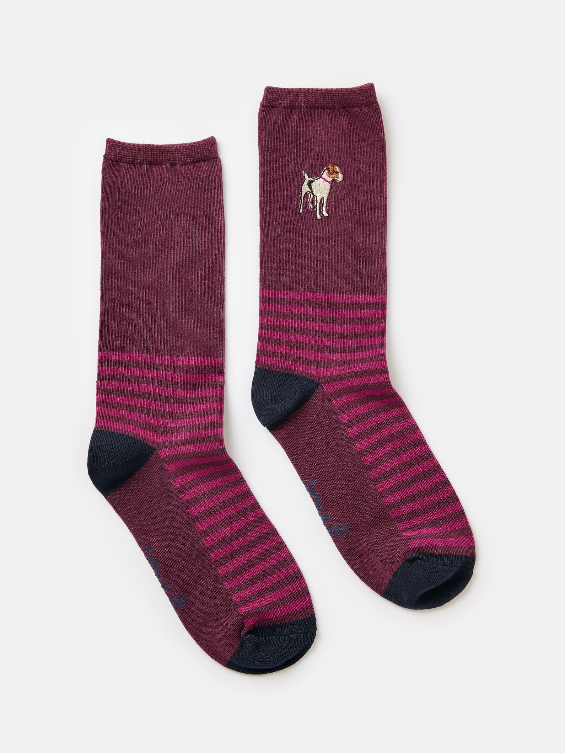 Embroidered Purple Ankle Socks - Image 1 of 3