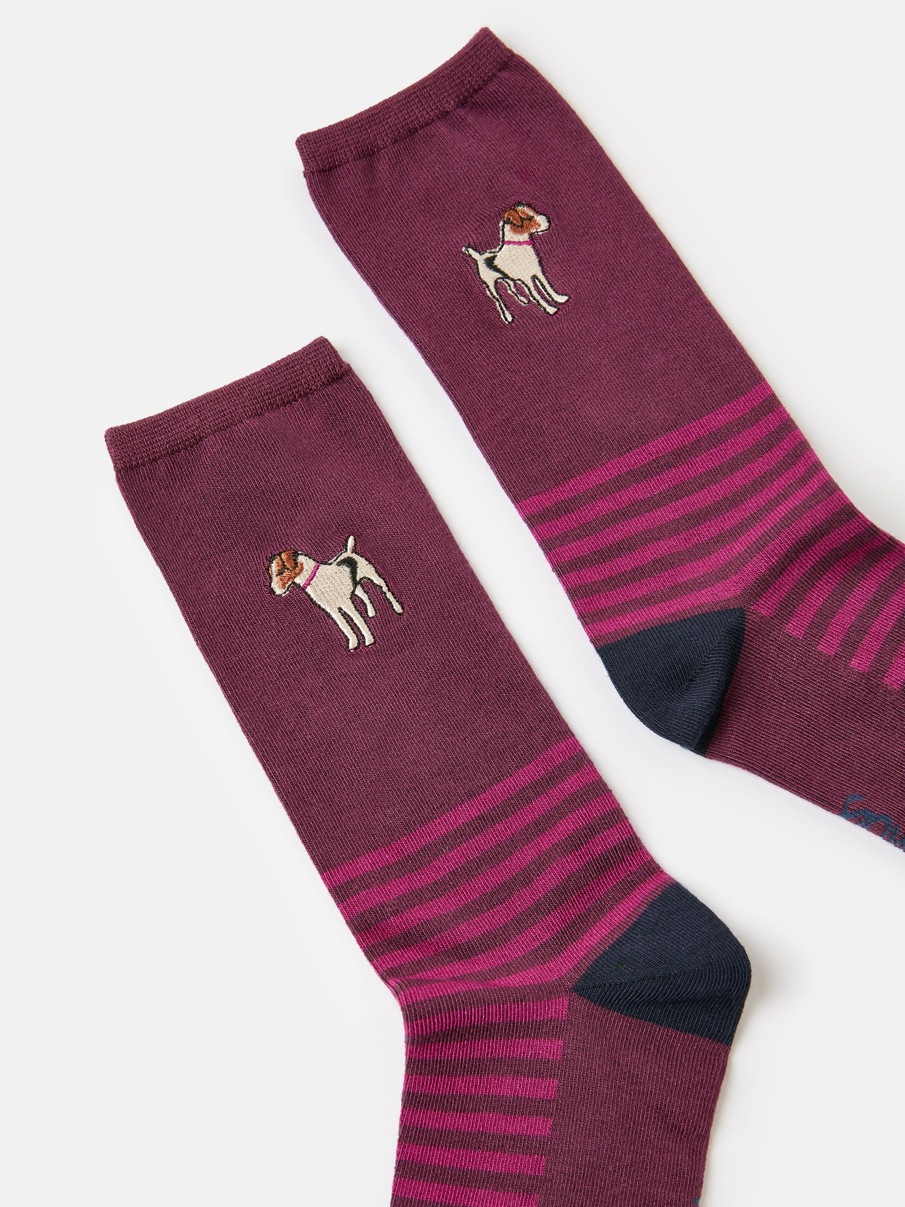 Embroidered Purple Ankle Socks - Image 3 of 3