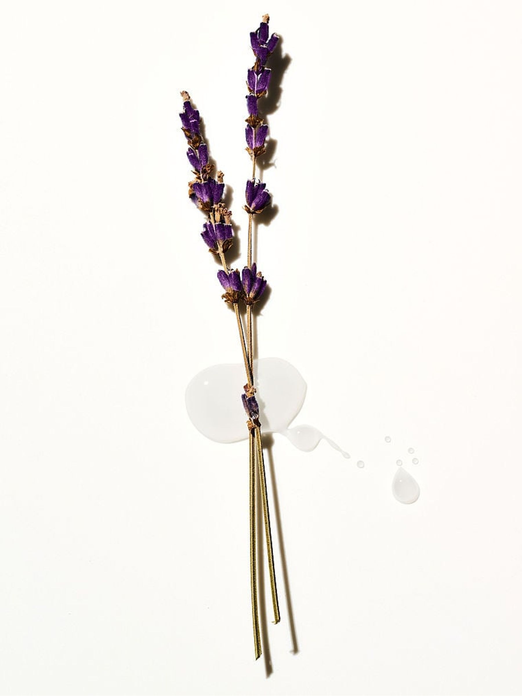 Lavender Body Wash - Image 2 of 2