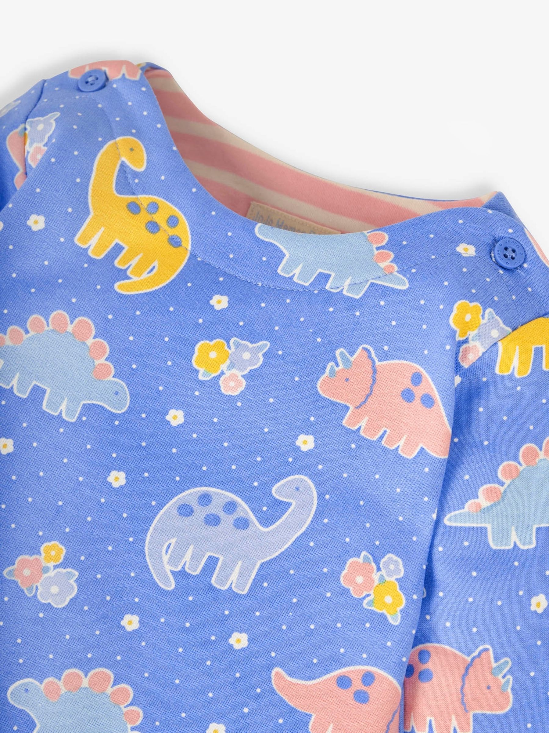 Cornflower Dino Print A-Line Dress - Image 2 of 3