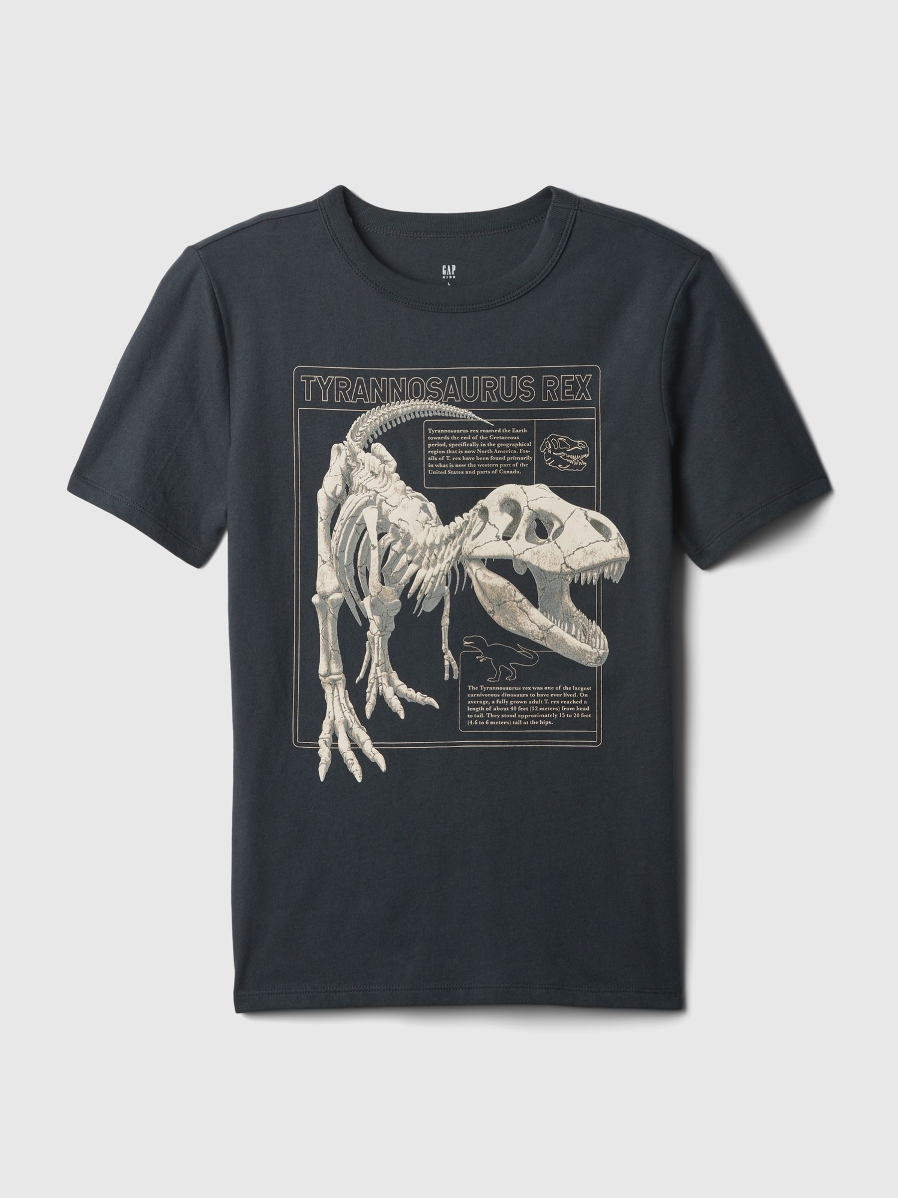 Black Dino Graphic Short Sleeve Crew Neck T-Shirt (4-13yrs) - Image 1 of 2