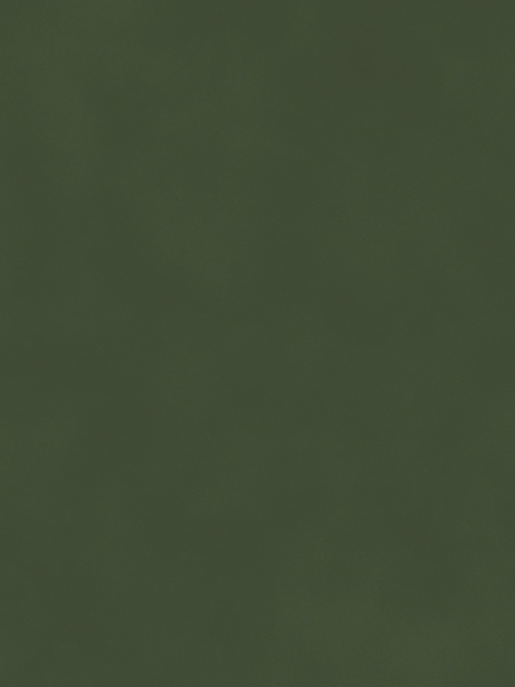 Matt Velvet Swatch in Grass Green - Image 1 of 1