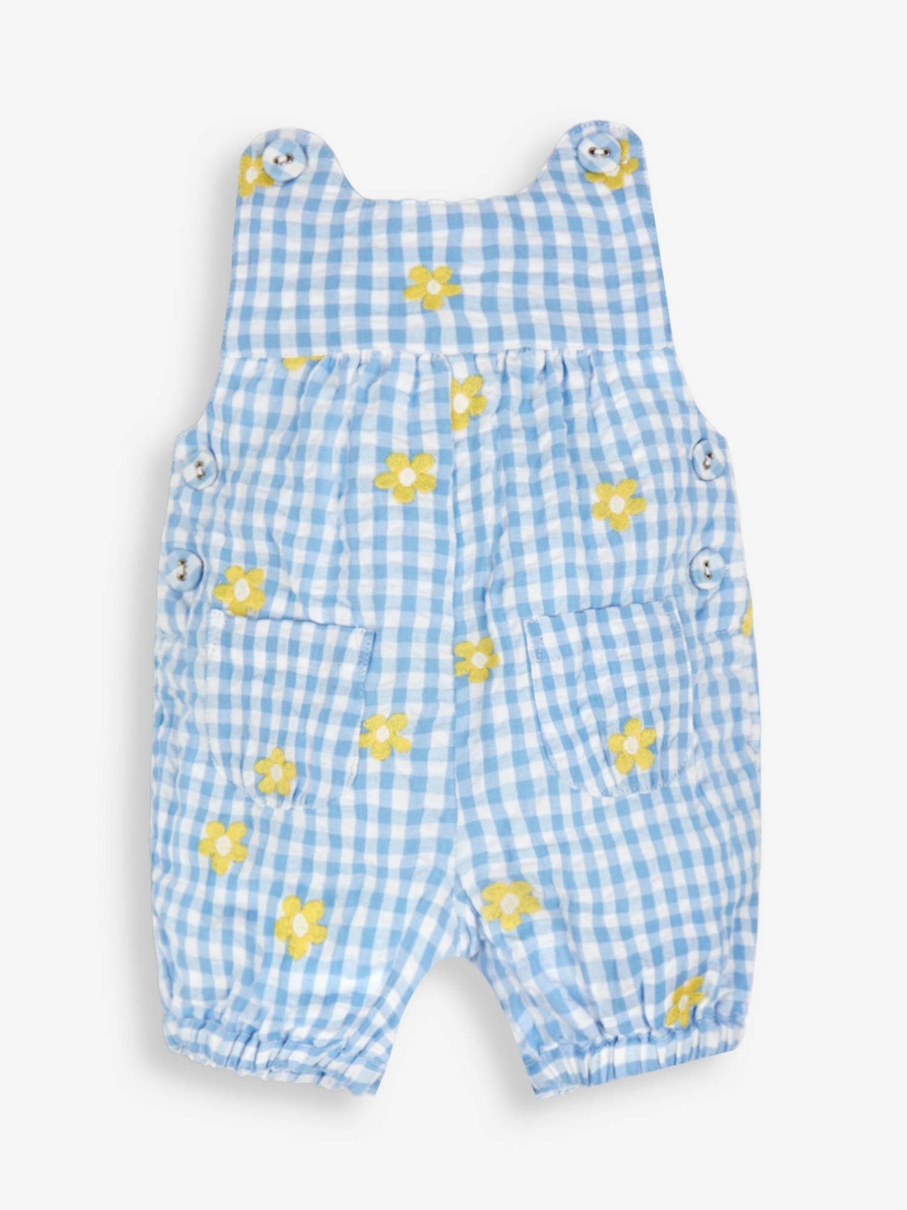 Blue Daisy Embroidered Gingham Dungarees - Image 1 of 2