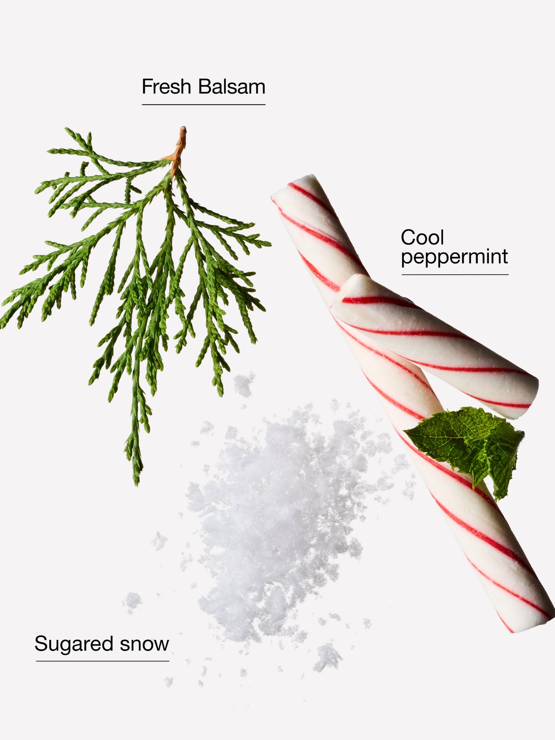 Twisted Peppermint Body Wash 295ml - Image 2 of 2