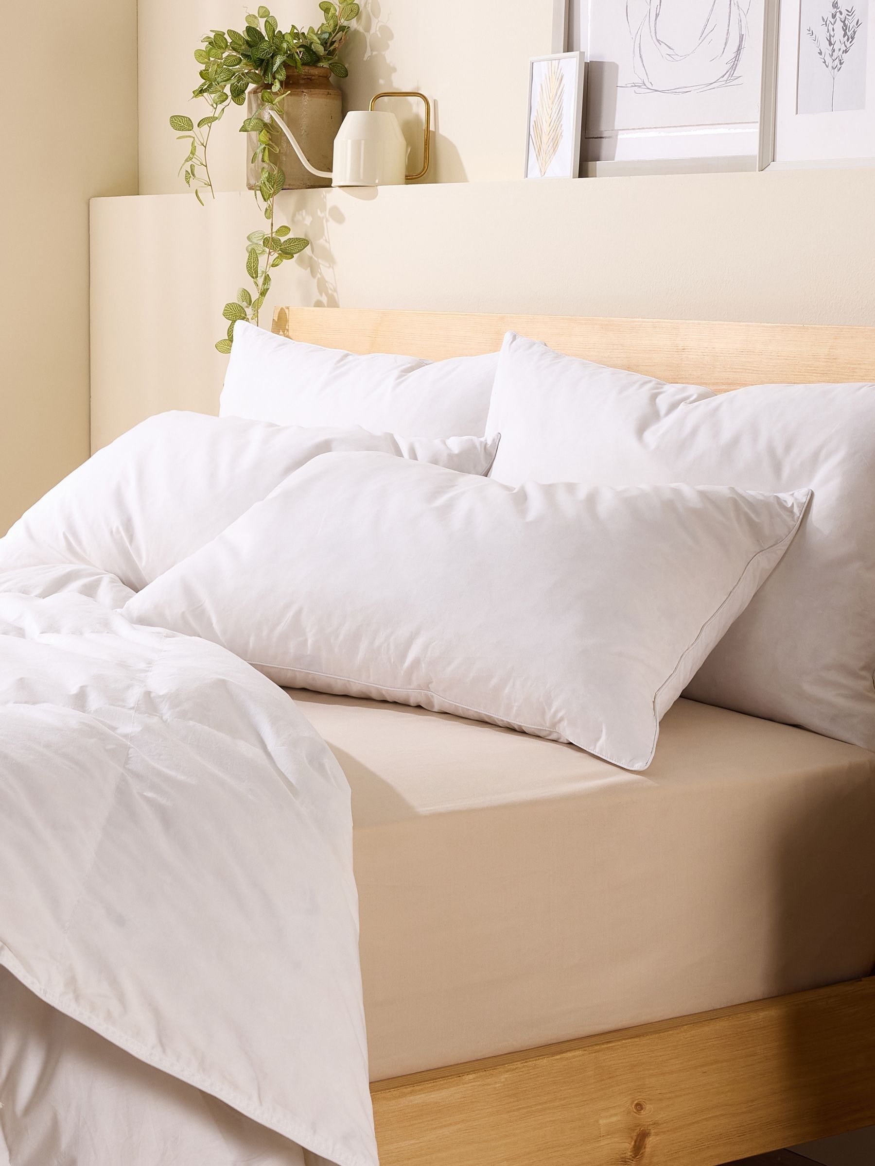 Snuggledown White Pair of Duck Feather and Down 100% Cotton Pillows - Image 1 of 9