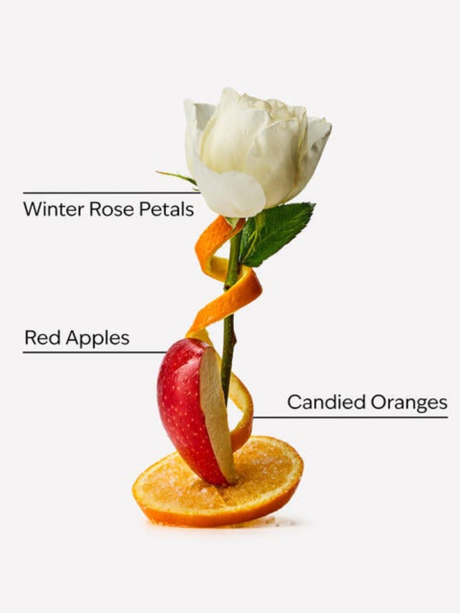 Winter Candy Apple Pocketbac Cleansing Hand Gel 29ml - Image 3 of 3