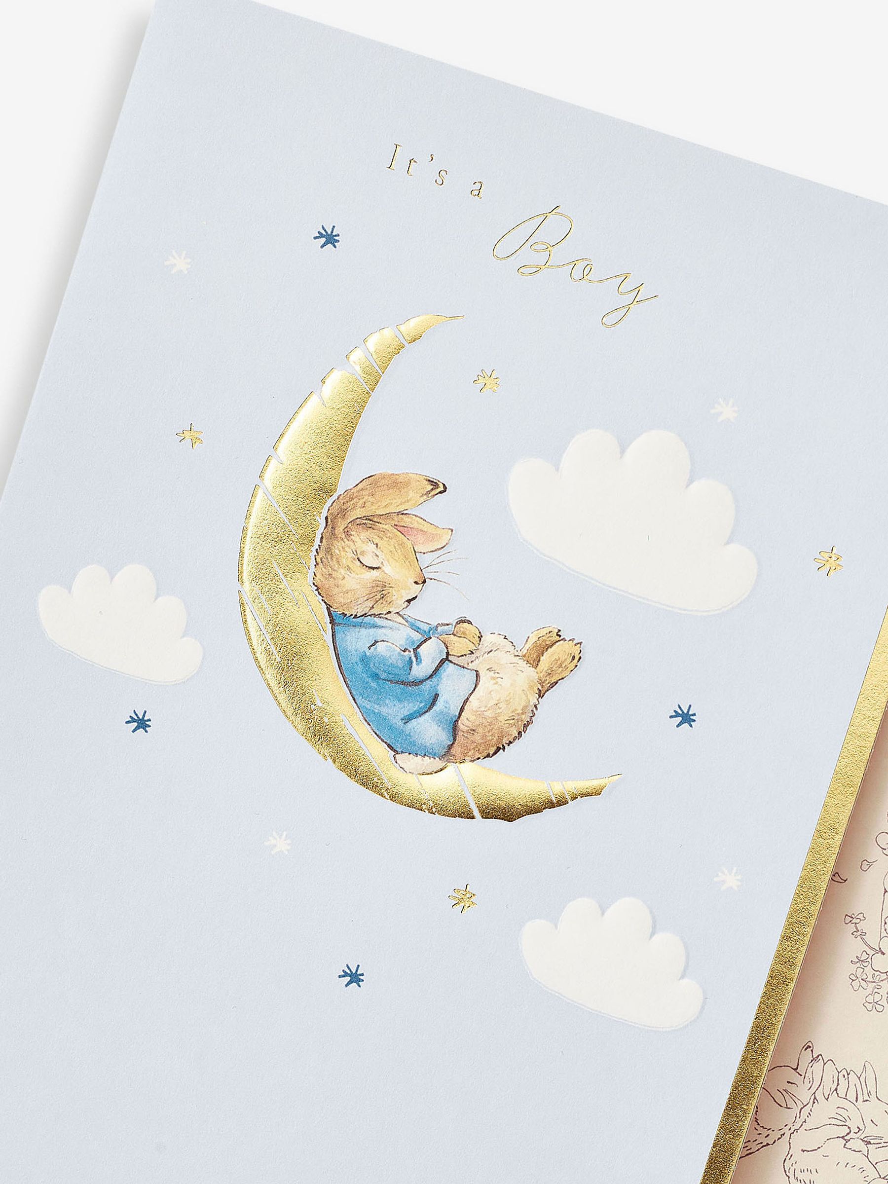 Peter Rabbit New Baby Card - Image 5 of 5
