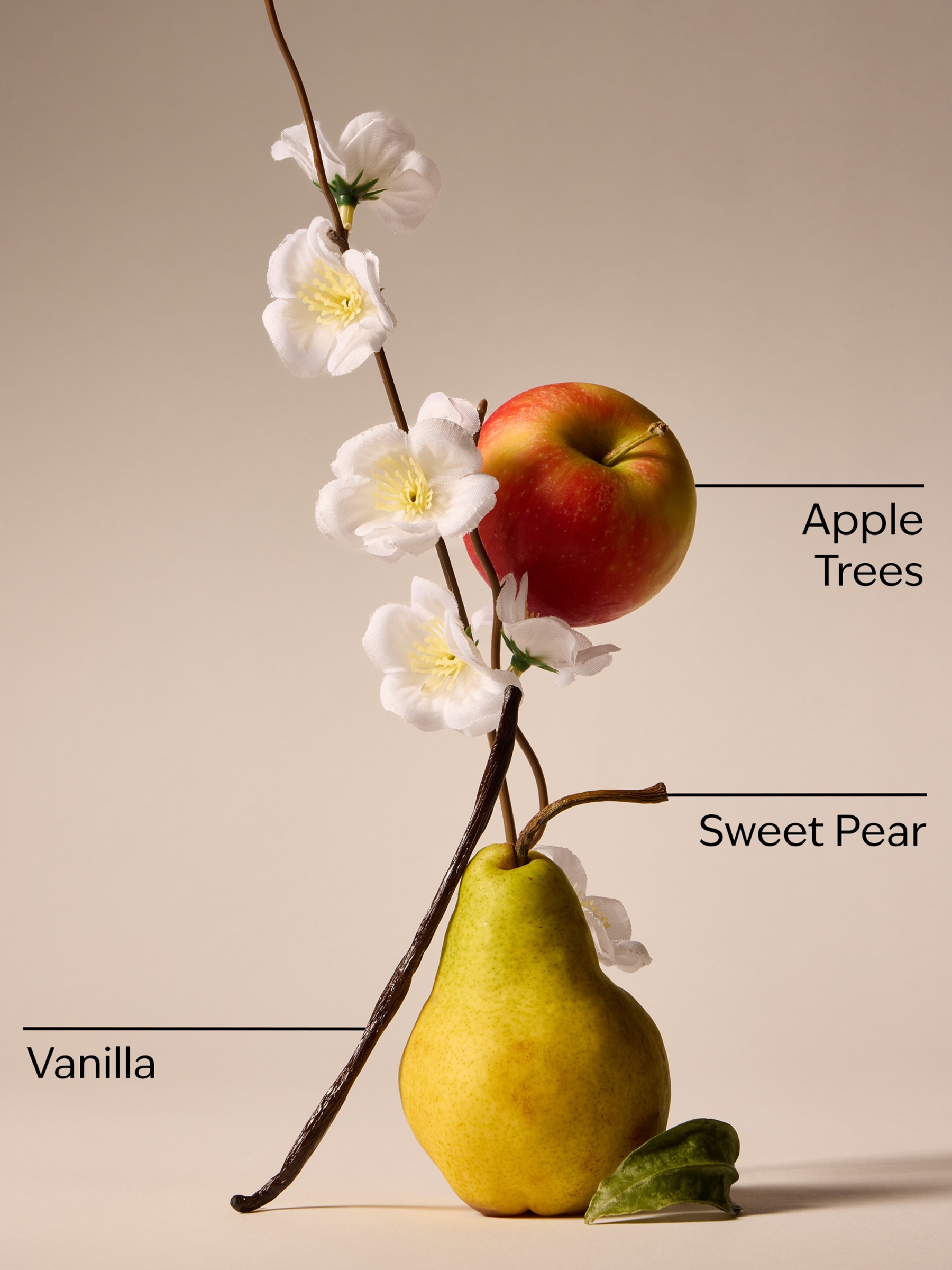 Spring Apple Single Wick Candle 227g - Image 3 of 3