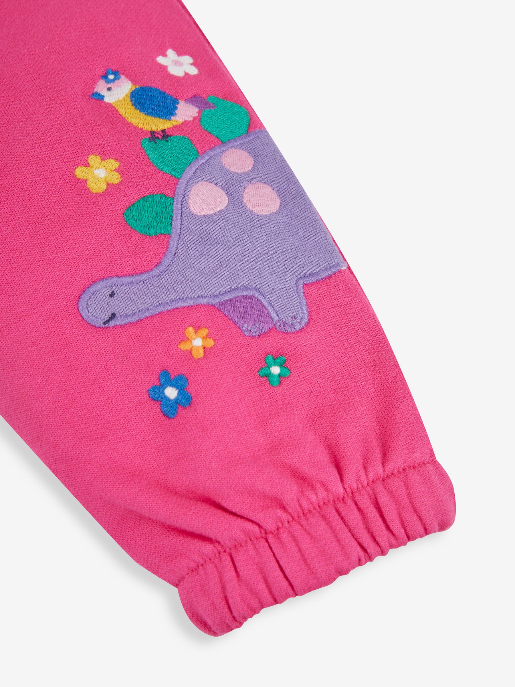 Raspberry Pink Dino Appliqué With Pet In Pocket Joggers - Image 5 of 6