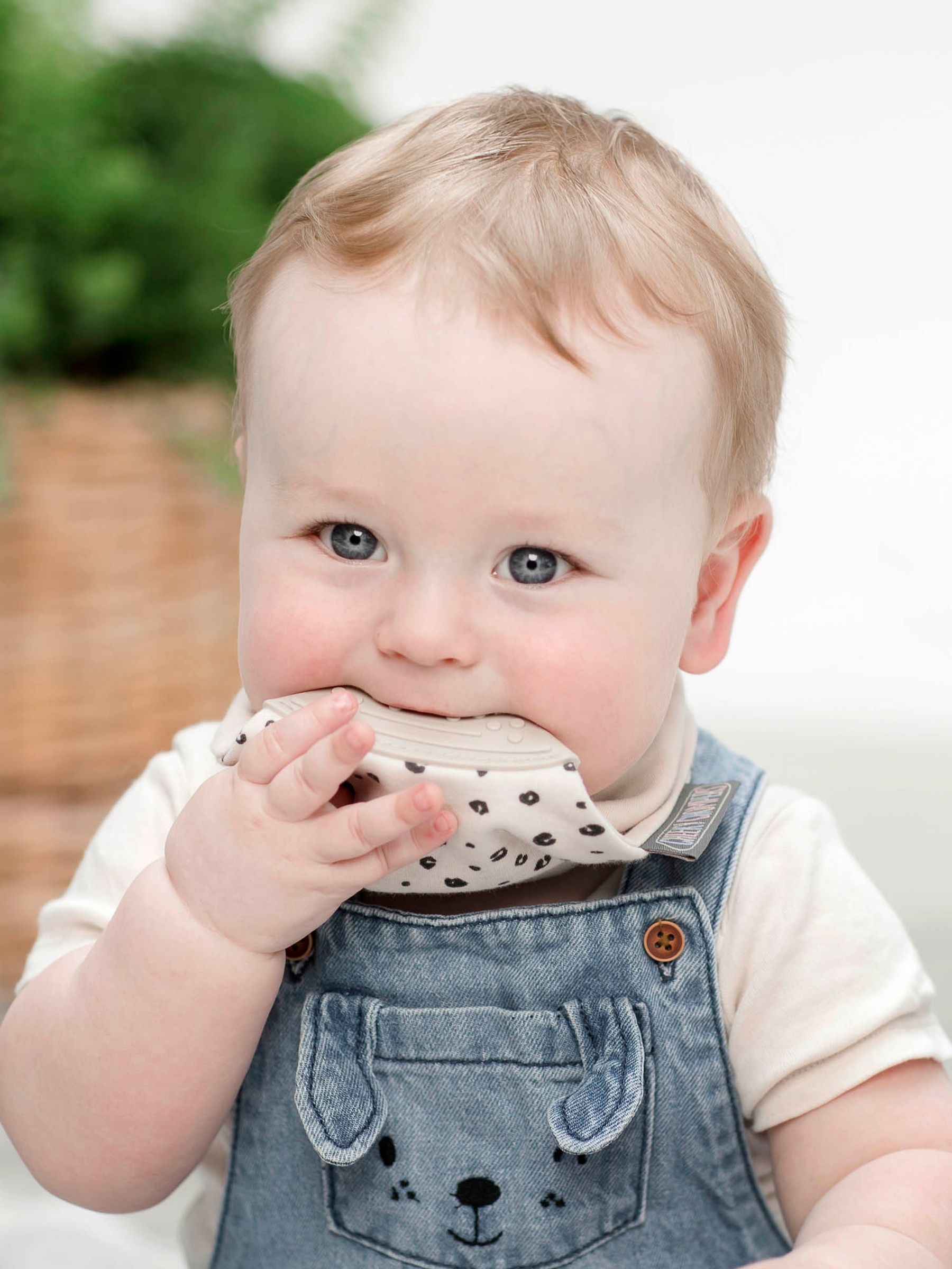 Cheeky Chompers Neckerchew Leopard Spots - Image 5 of 5