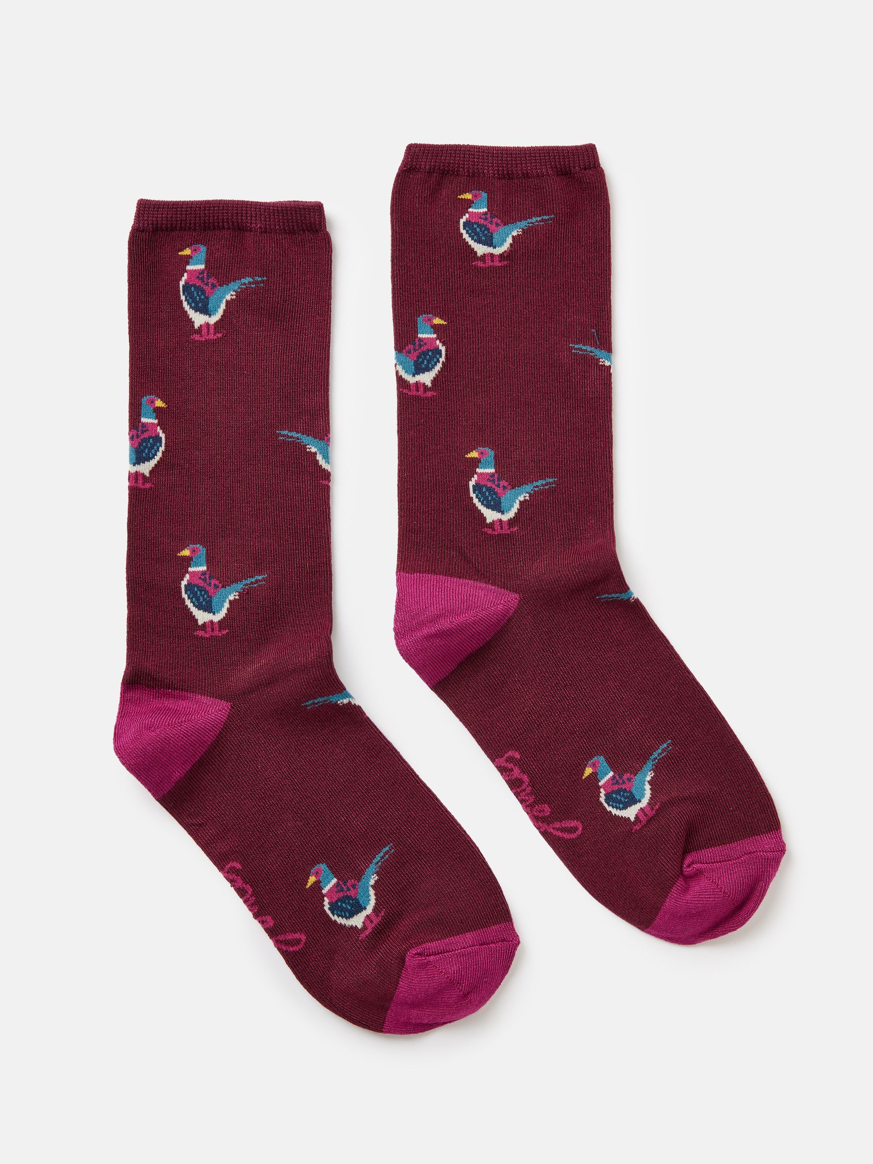 Excellent Everyday Purple Pheasant Ankle Socks - Image 3 of 3