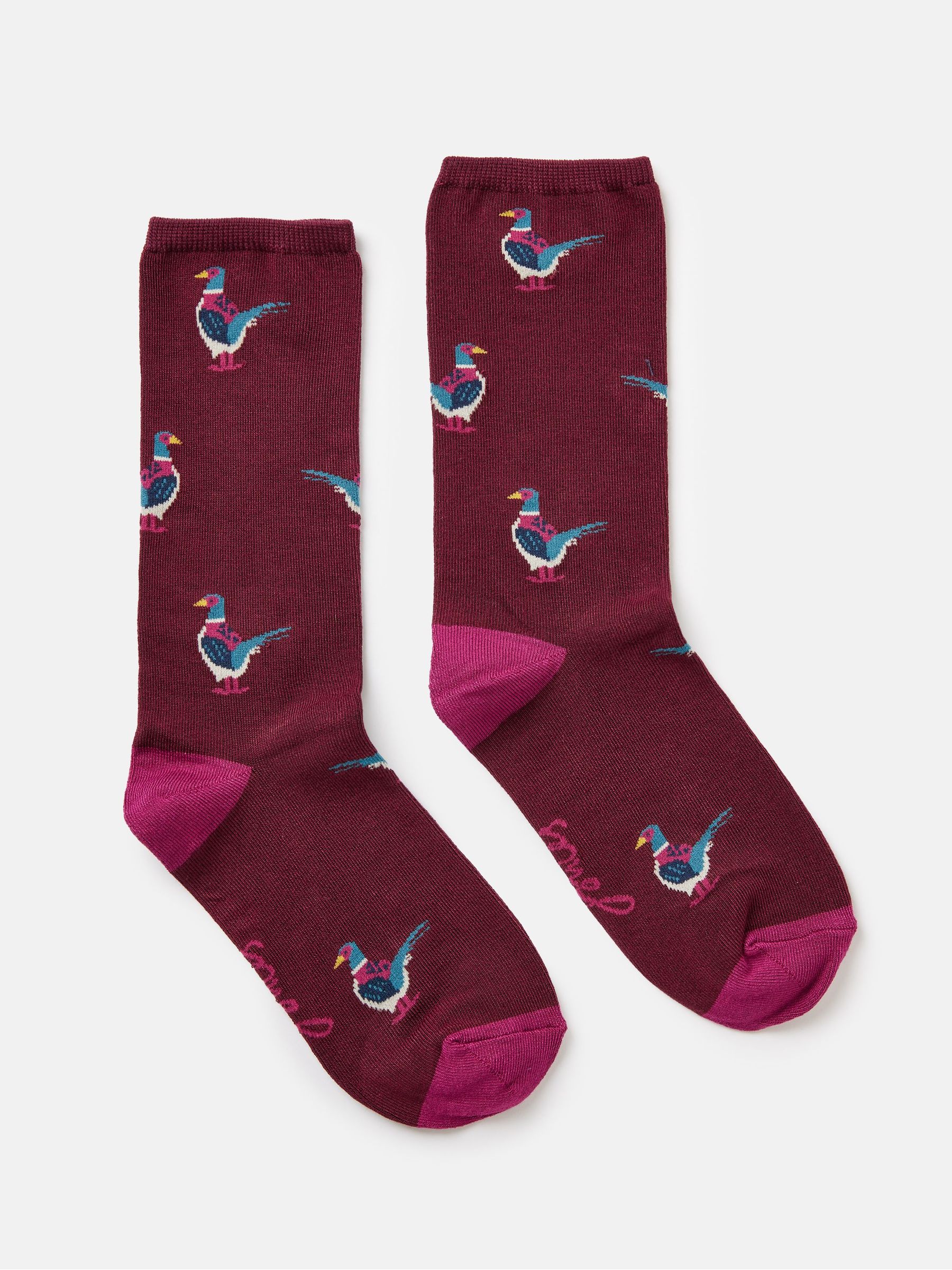 Excellent Everyday Purple Pheasant Ankle Socks - Image 3 of 4