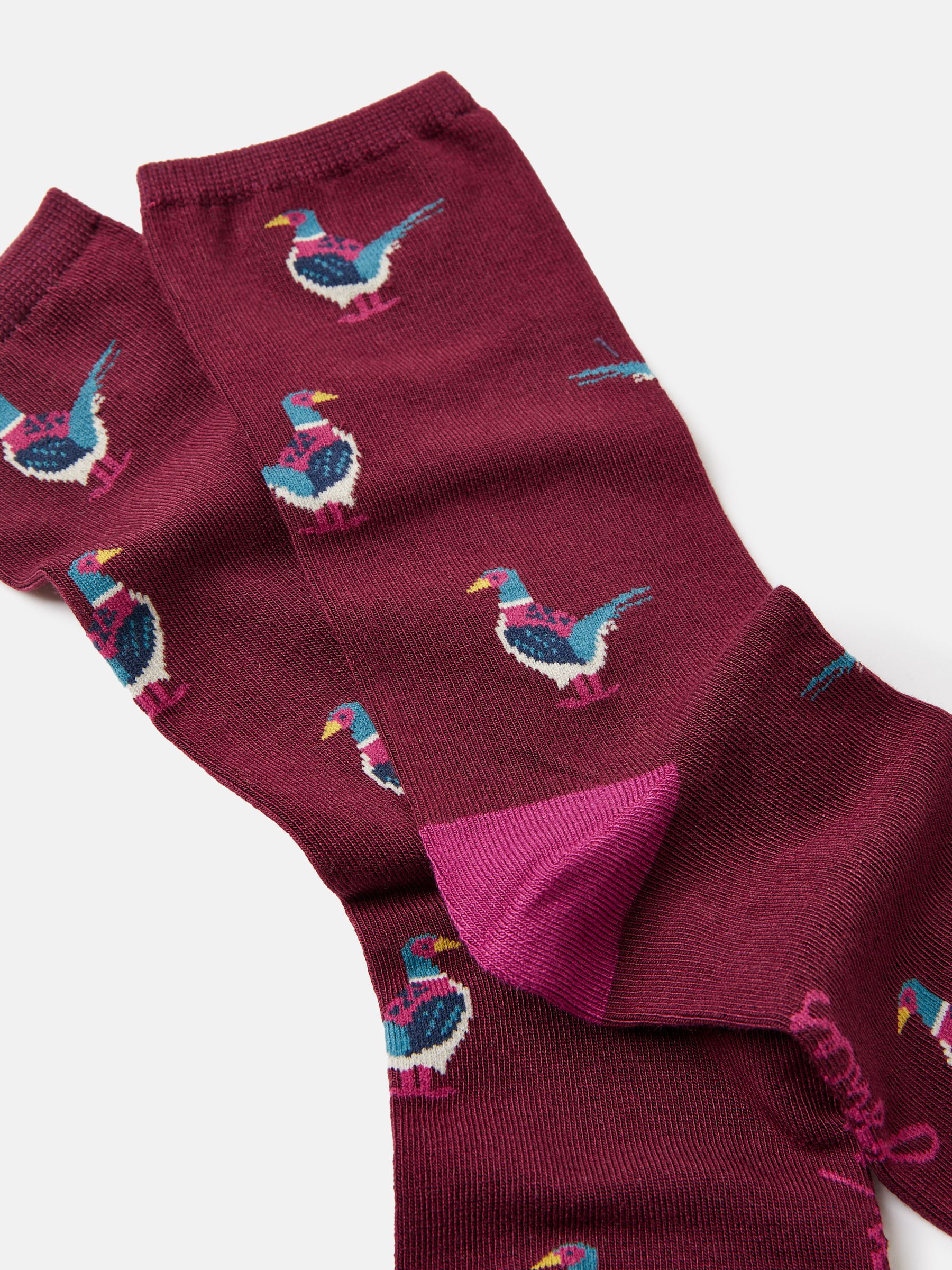 Excellent Everyday Purple Pheasant Ankle Socks - Image 4 of 4