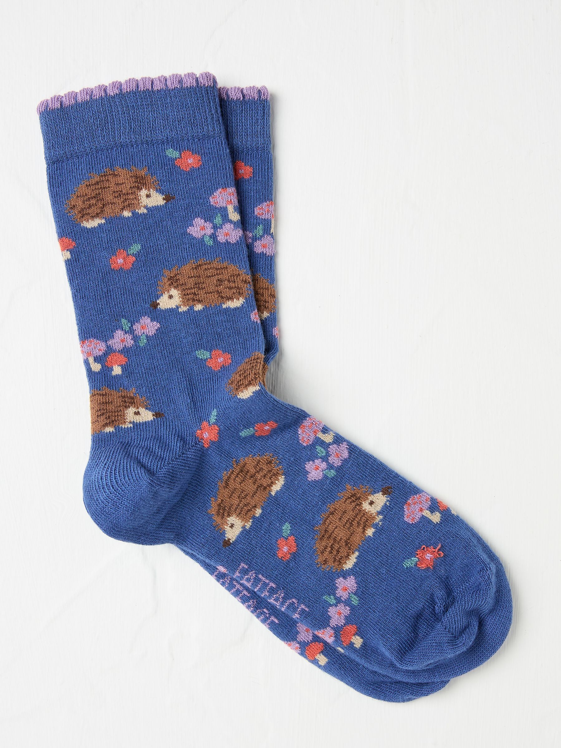 Blue Hedgehog Women's Socks - Image 1 of 2