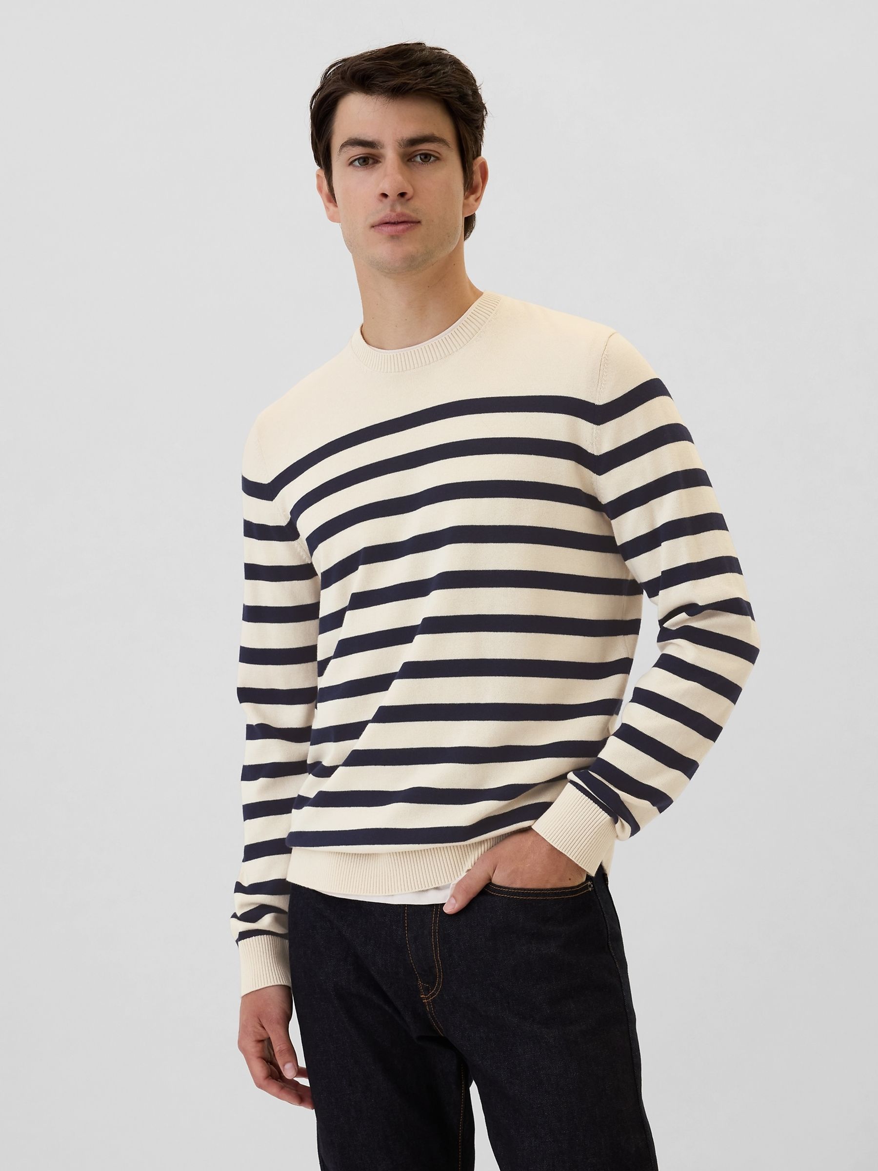 Cream & Navy Blue Stripe Cotton Knit Crew Neck Jumper | Gap