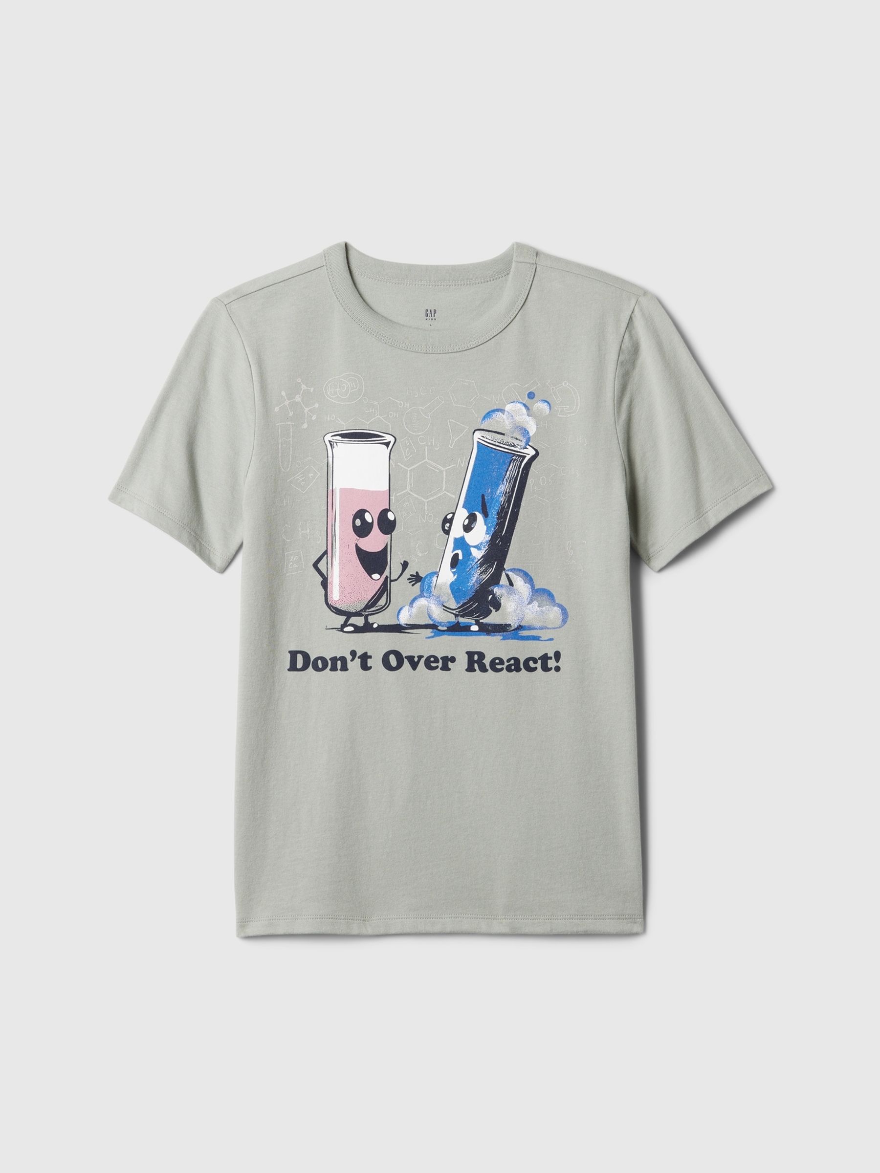 Grey Short Sleeve Graphic T-Shirt (4-13yrs) - Image 1 of 1