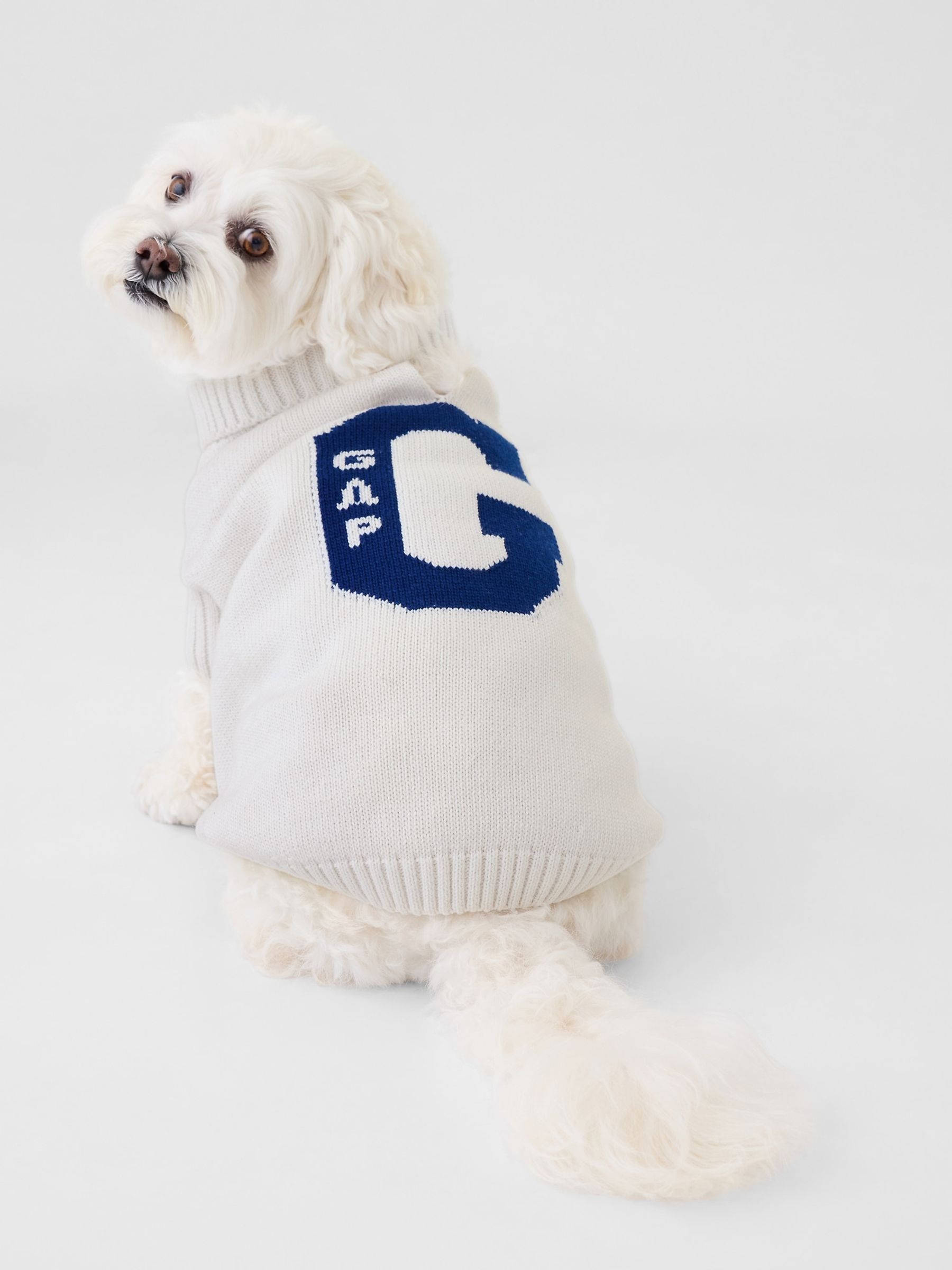 White Knitted Pet Varsity Jumper - Image 1 of 4