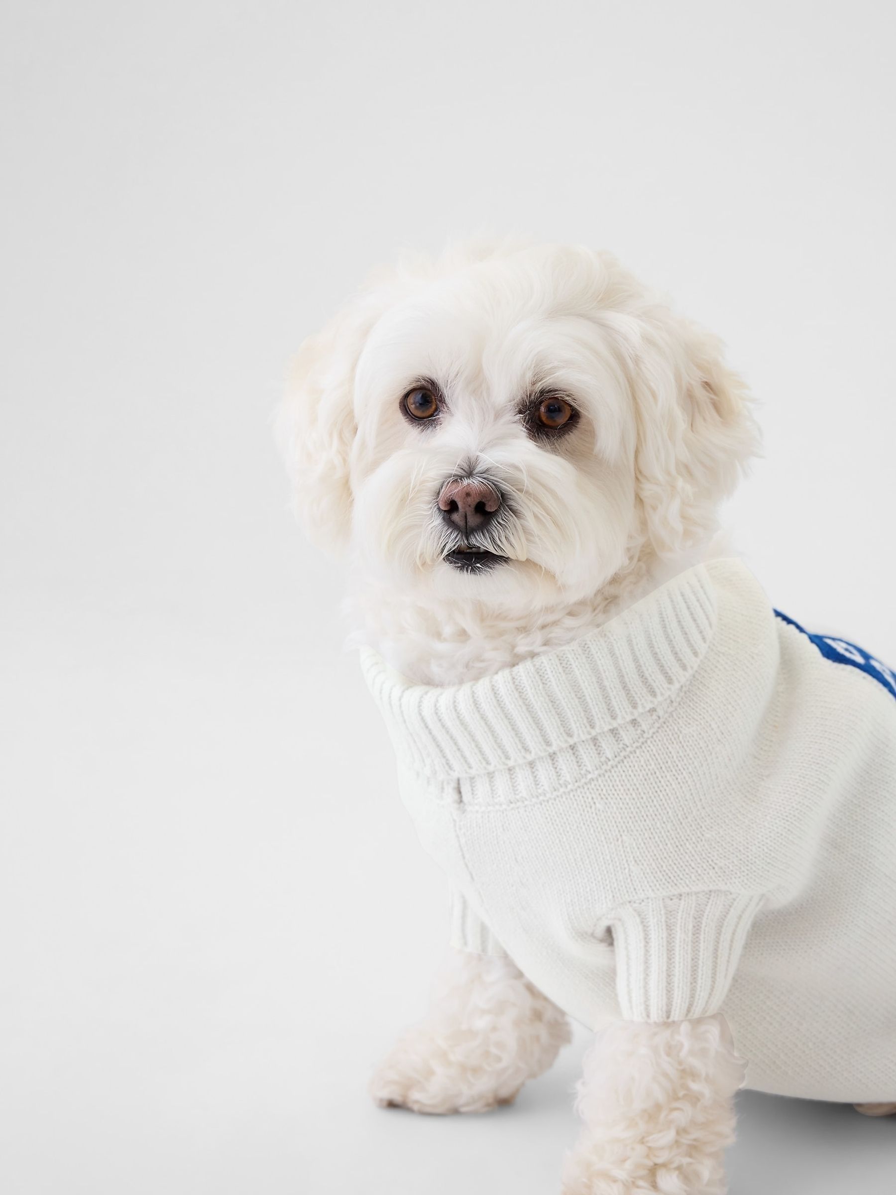 White Knitted Pet Varsity Jumper - Image 2 of 4