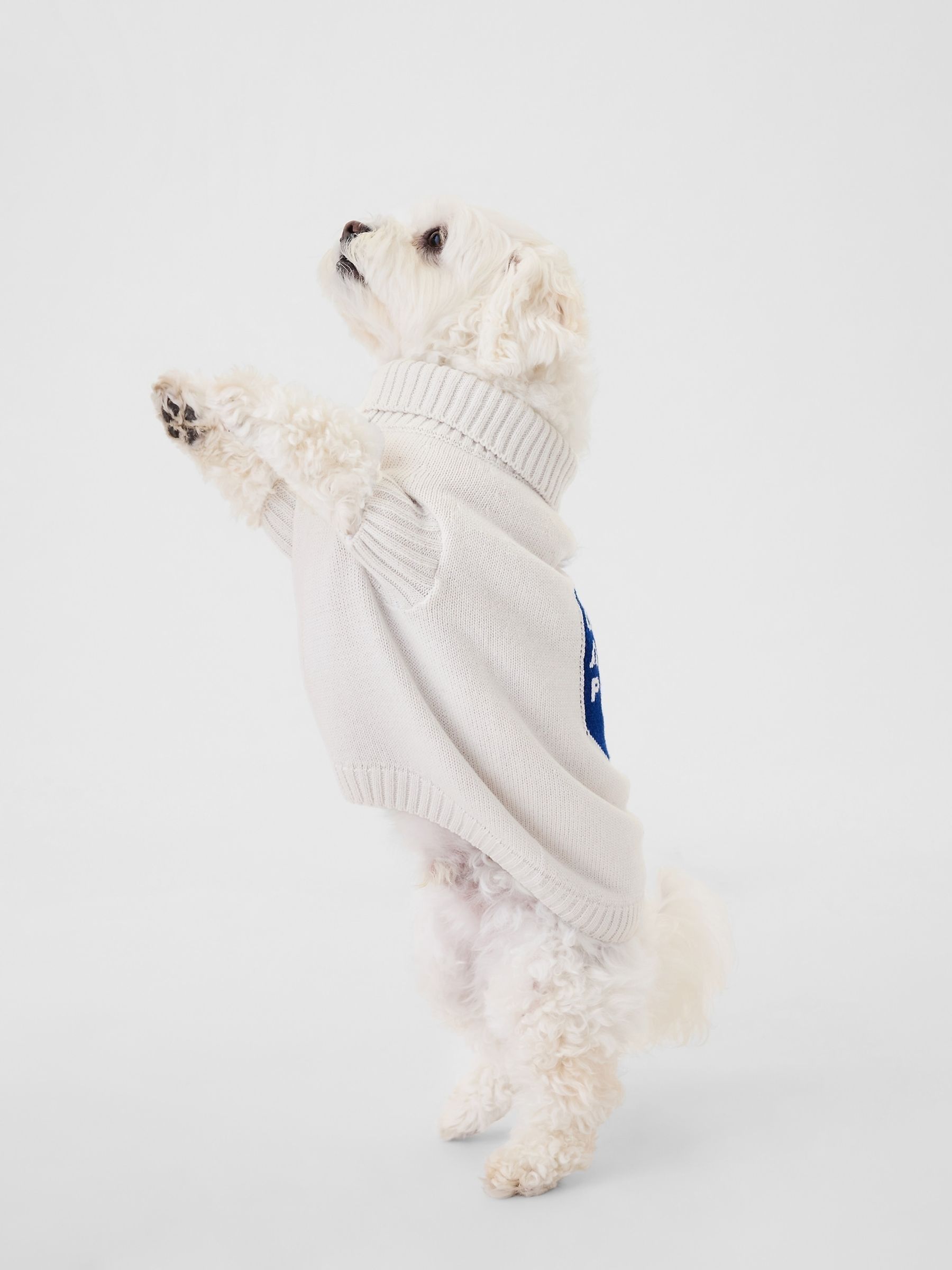 White Knitted Pet Varsity Jumper - Image 3 of 4