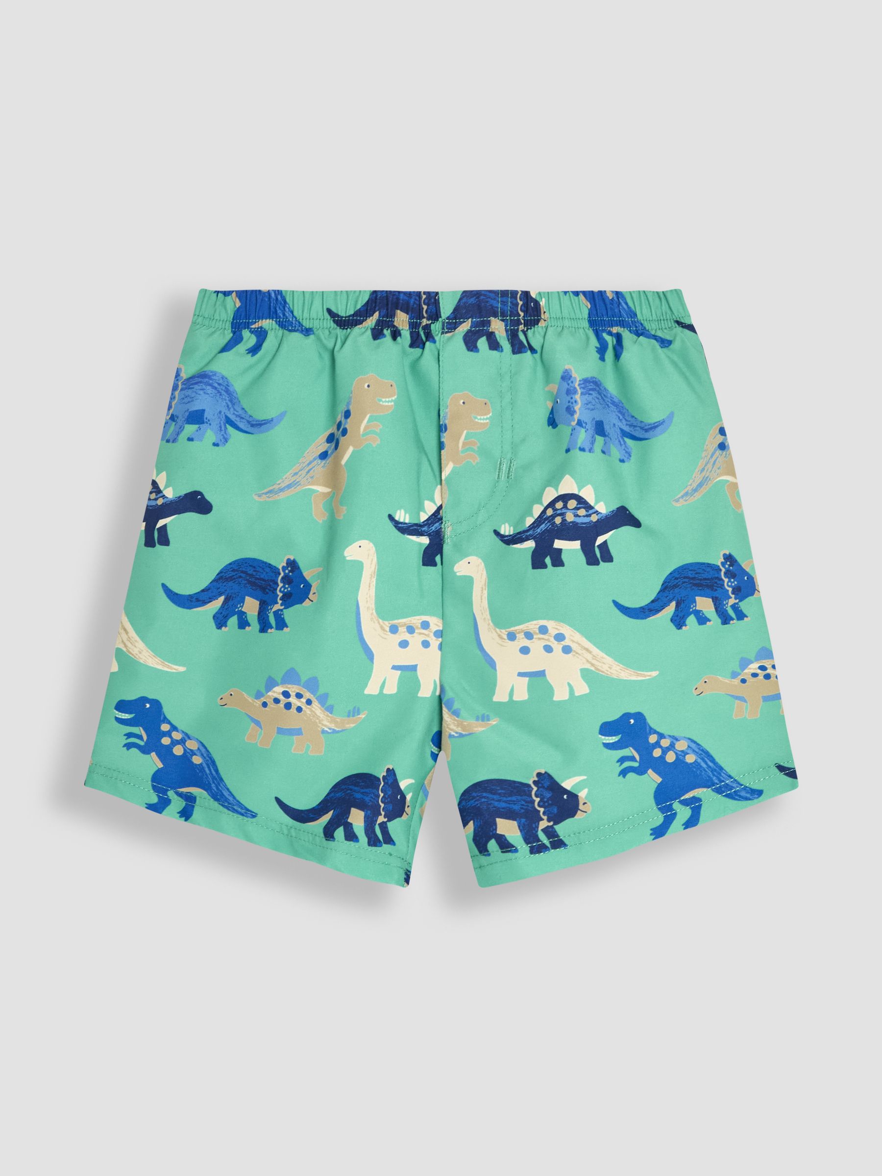 Turquoise Swim Shorts With Nappy - Image 1 of 3