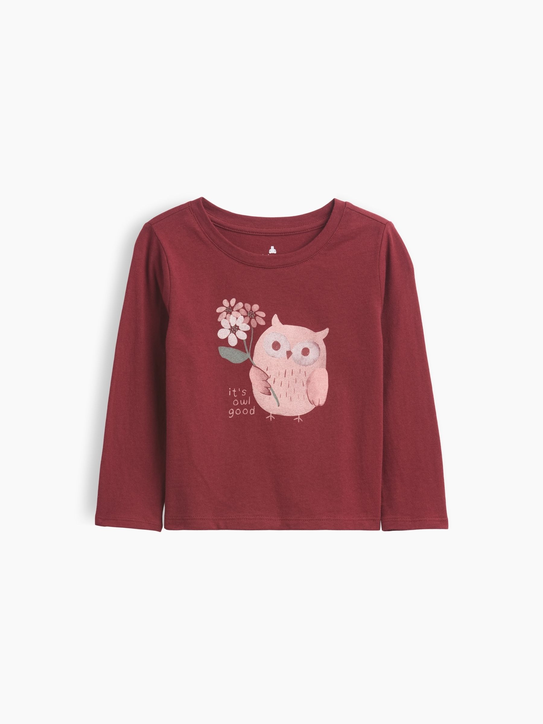 Burgundy Owl Graphic Long Sleeve T-Shirt - Image 1 of 2
