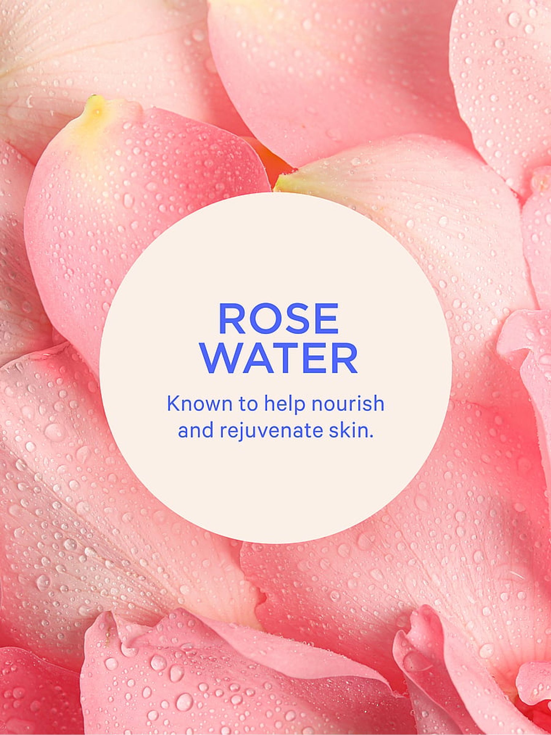 Wild Amber Rose Body Mist - Image 2 of 2 Wild Amber Rose Body Mist - Image 2 of 2