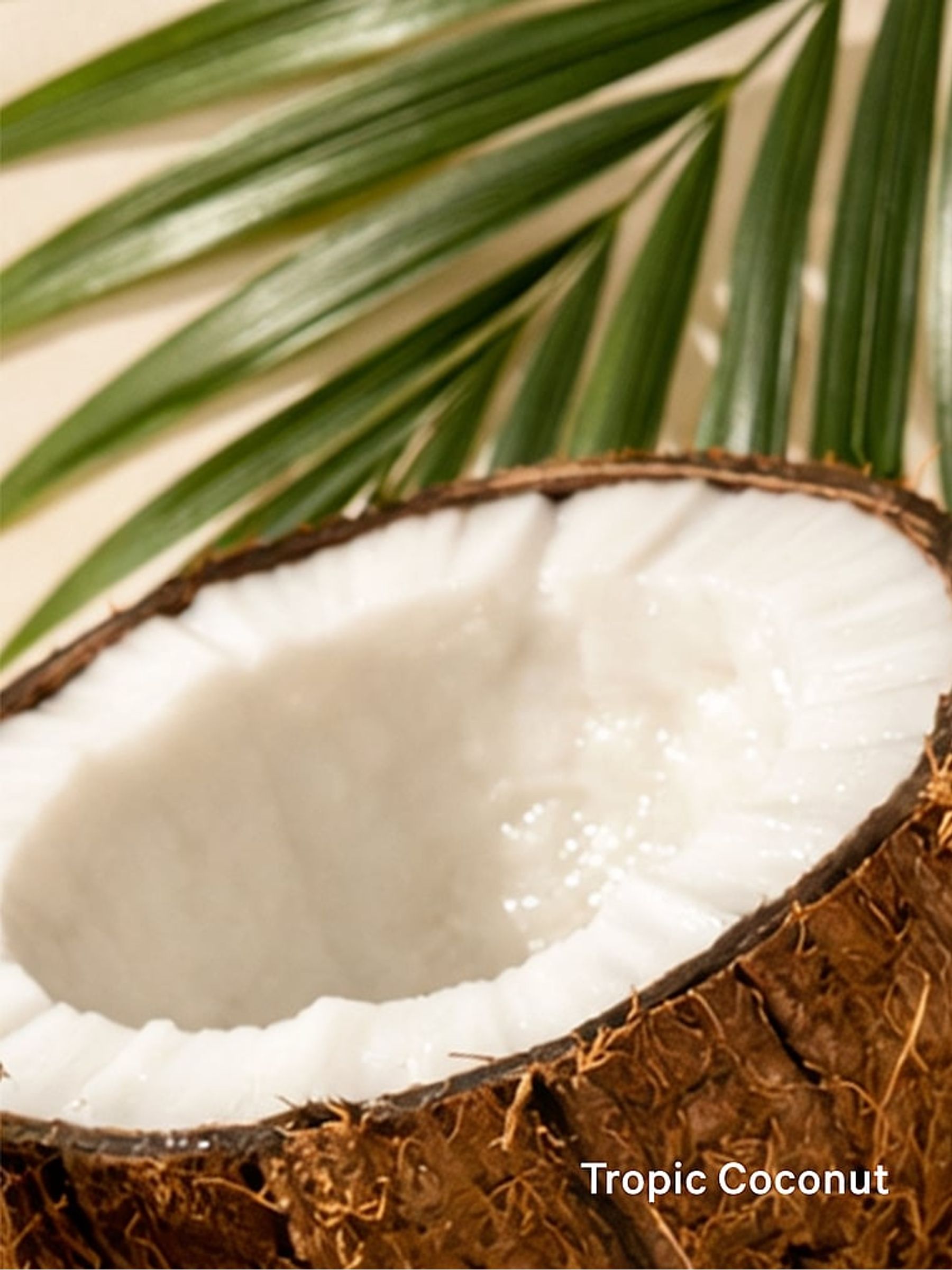 Tropical Coconut Lip Gloss - Image 3 of 3