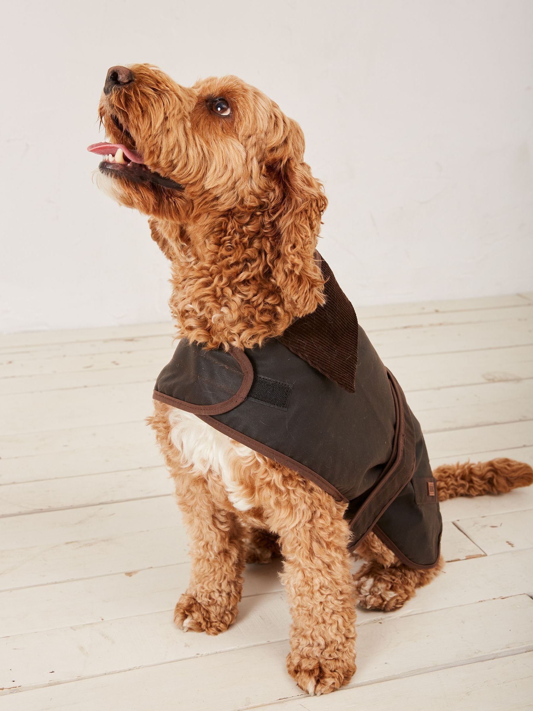 Brown 50cm Sussex Dog Coat - Image 2 of 6