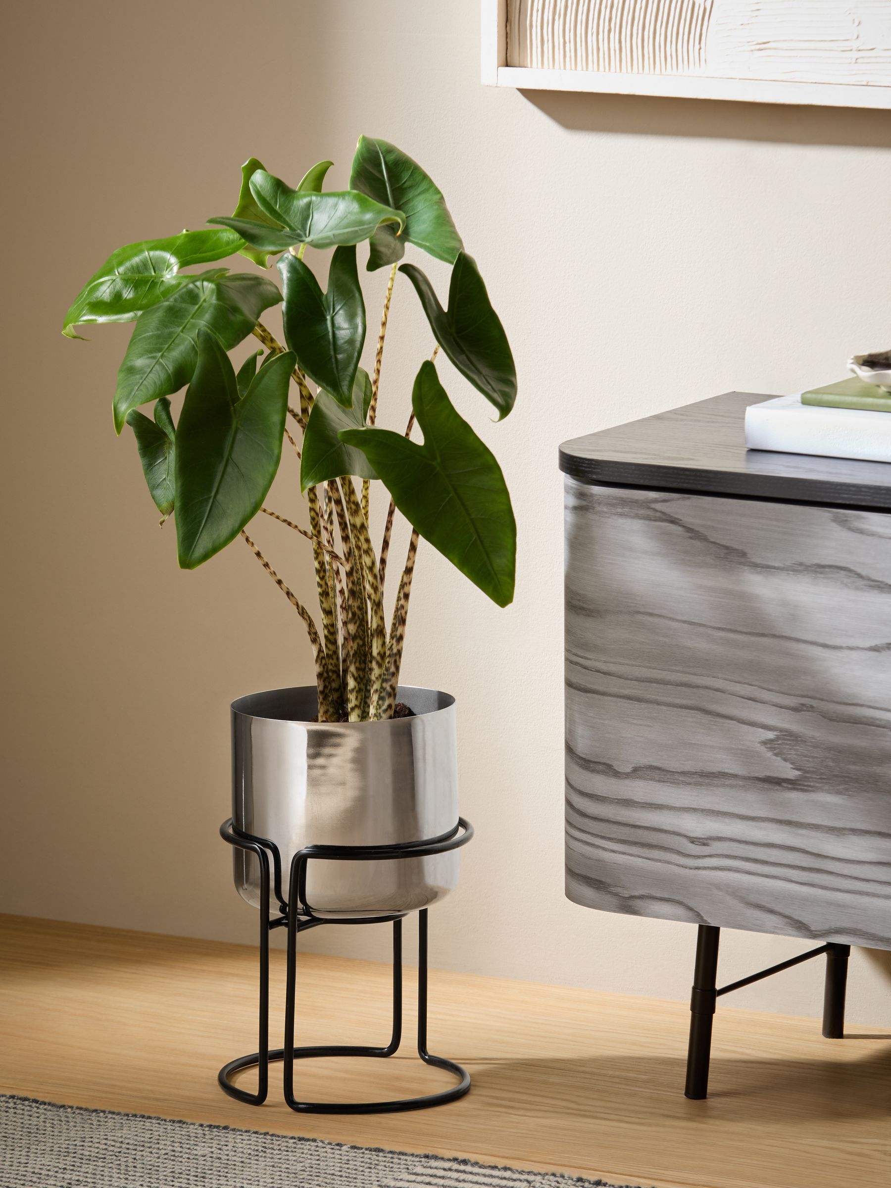 Piper Plant Pot in Silver - Image 1 of 4 Piper Plant Pot in Silver - Image 1 of 4