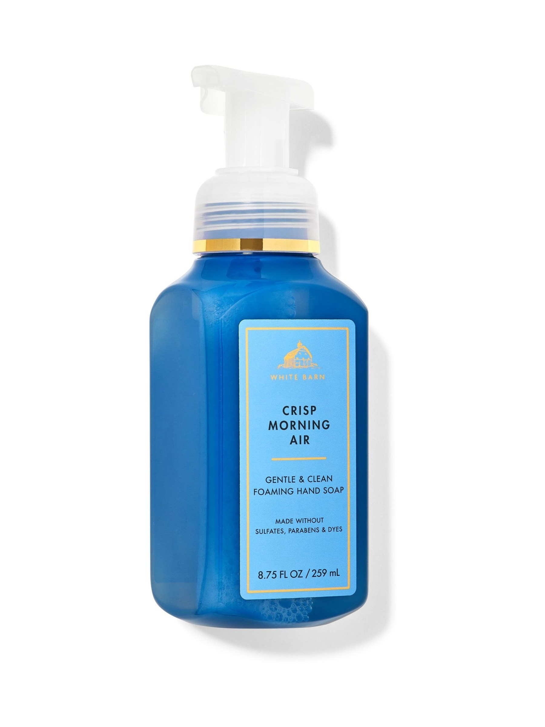 Crisp Morning Air Gentle and Clean Foaming Hand Soap - Image 1 of 1