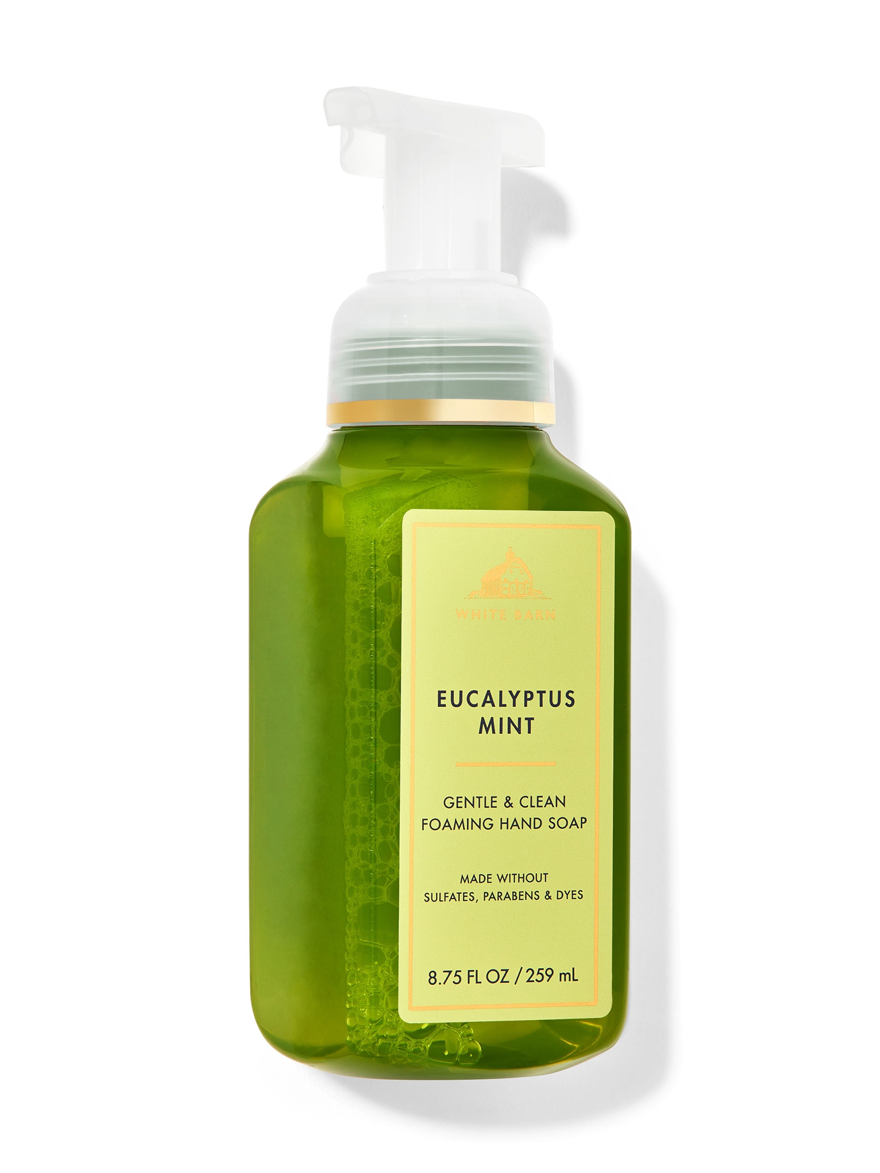 Eucalyptus Mint Gentle and Clean Foaming Hand Soap - Image 1 of 1