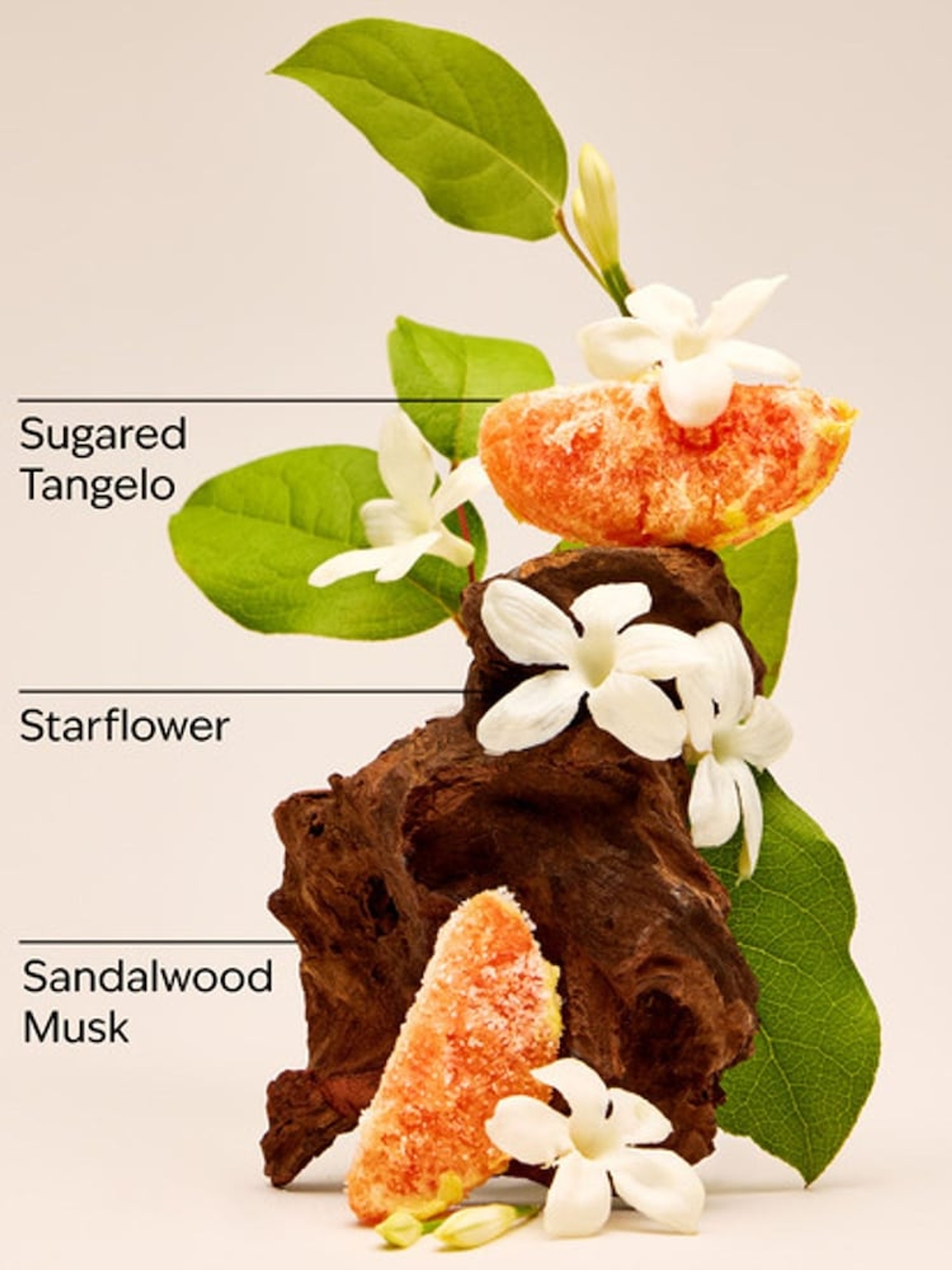 In the Stars Body Wash 295ml - Image 2 of 2