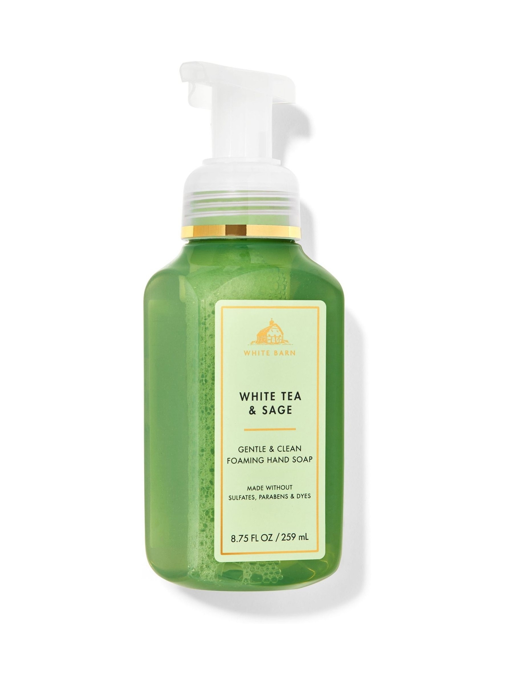 White Tea And Sage Gentle and Clean Foaming Hand Soap - Image 1 of 1 White Tea And Sage Gentle and Clean Foaming Hand Soap - Image 1 of 1