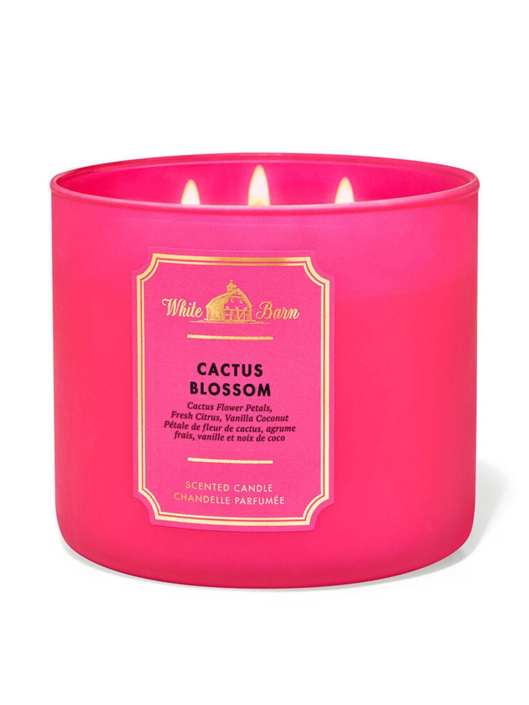 Cactus Blossom 3-Wick Candle 411g - Image 1 of 1